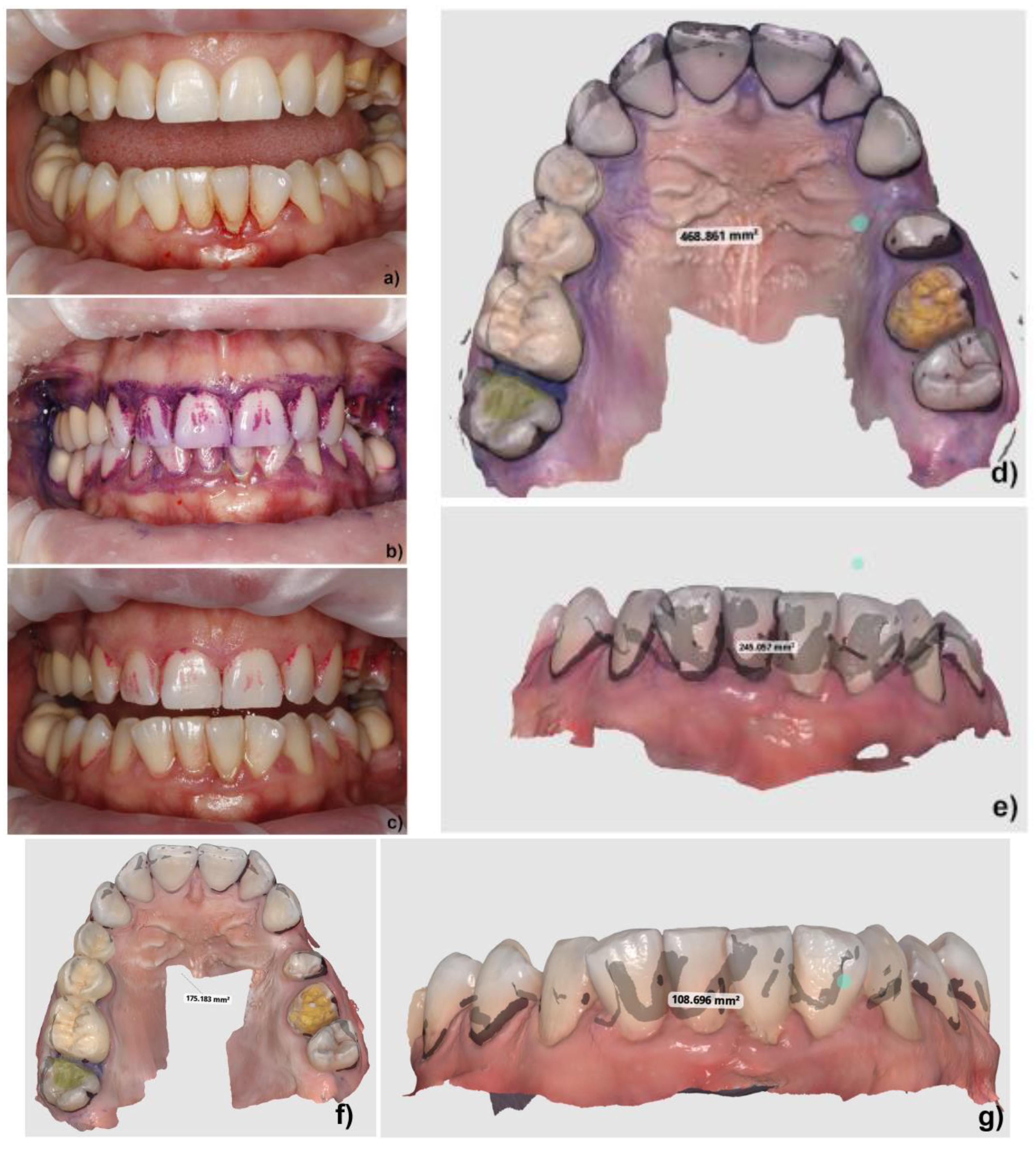 Biomedicines 12 02326 g003
