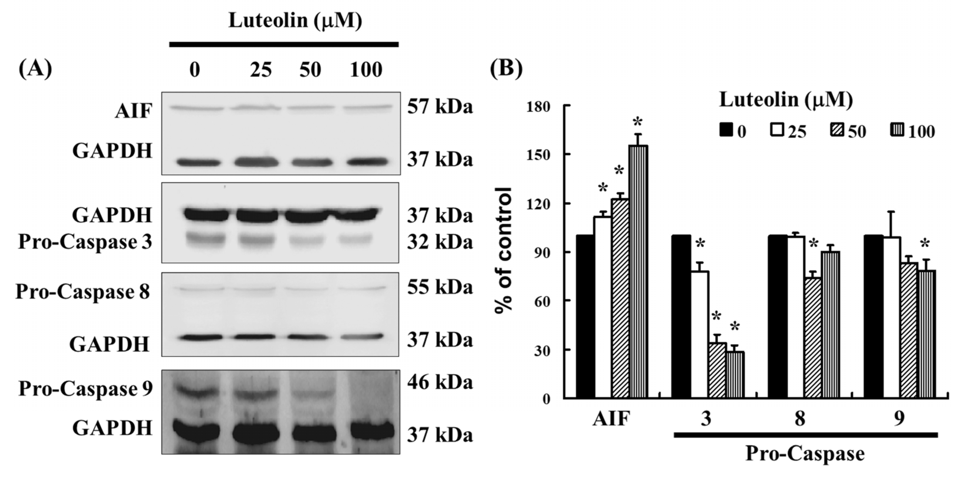 Biomedicines 12 02330 g005