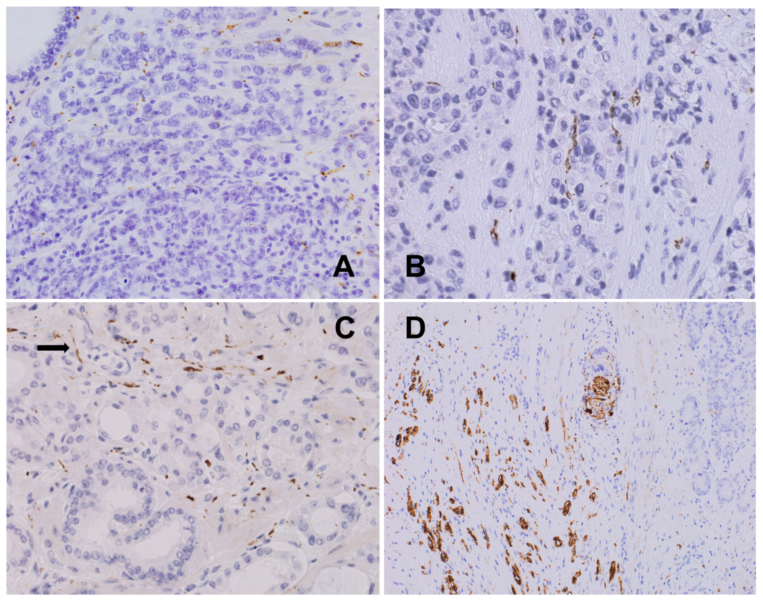 Biomedicines 12 02335 g010