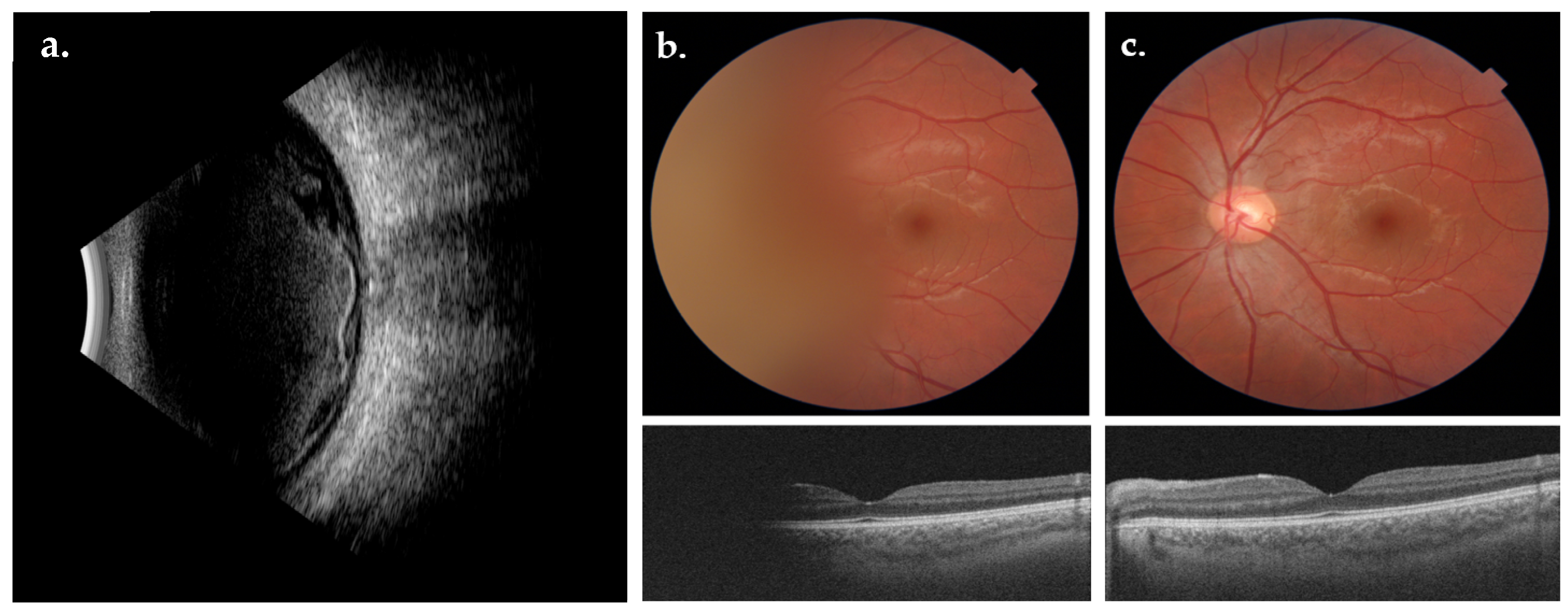Biomedicines 12 02336 g001