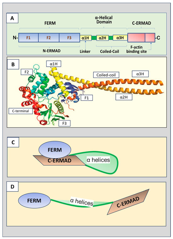 Biomedicines 12 02341 g001