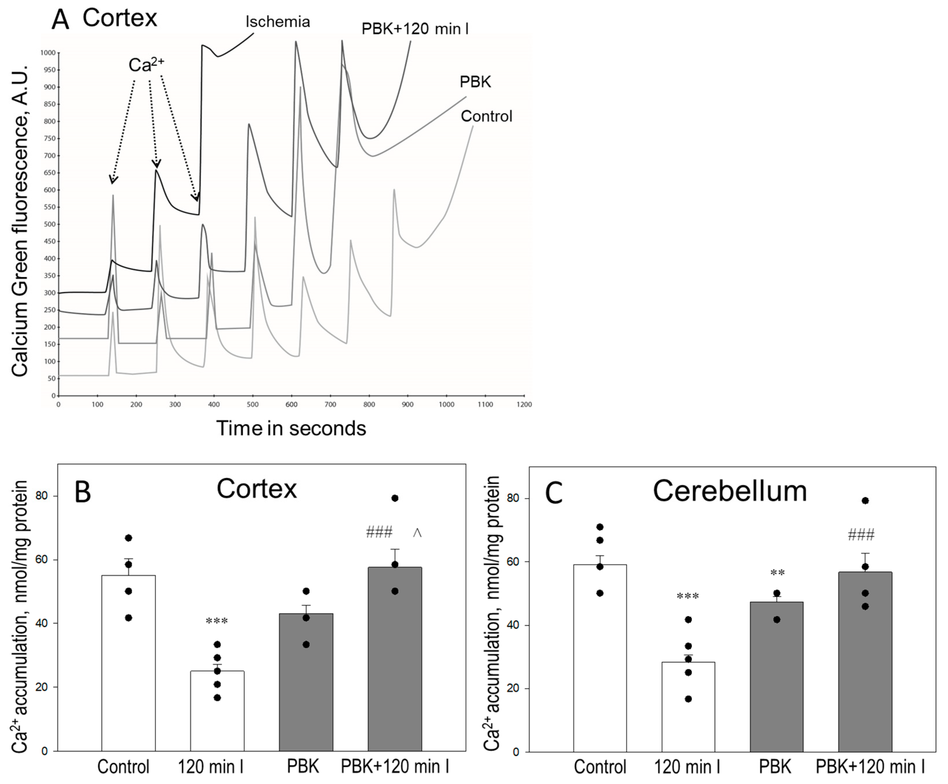 Biomedicines 12 02342 g001