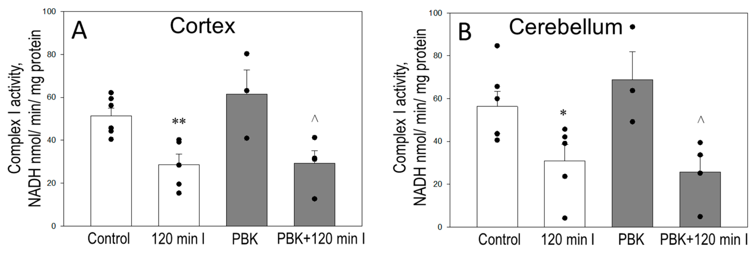 Biomedicines 12 02342 g003
