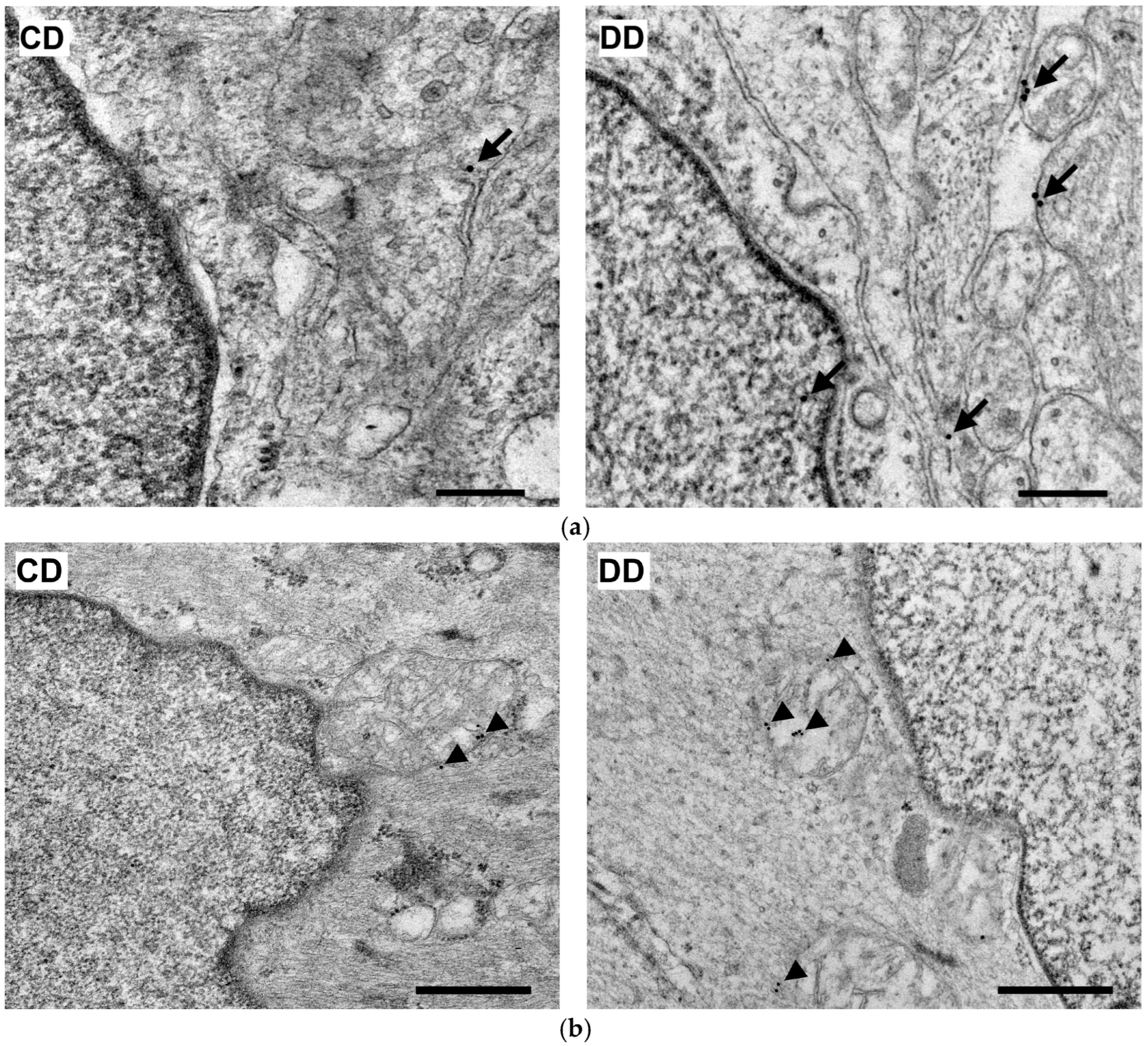 Biomedicines 12 02347 g010