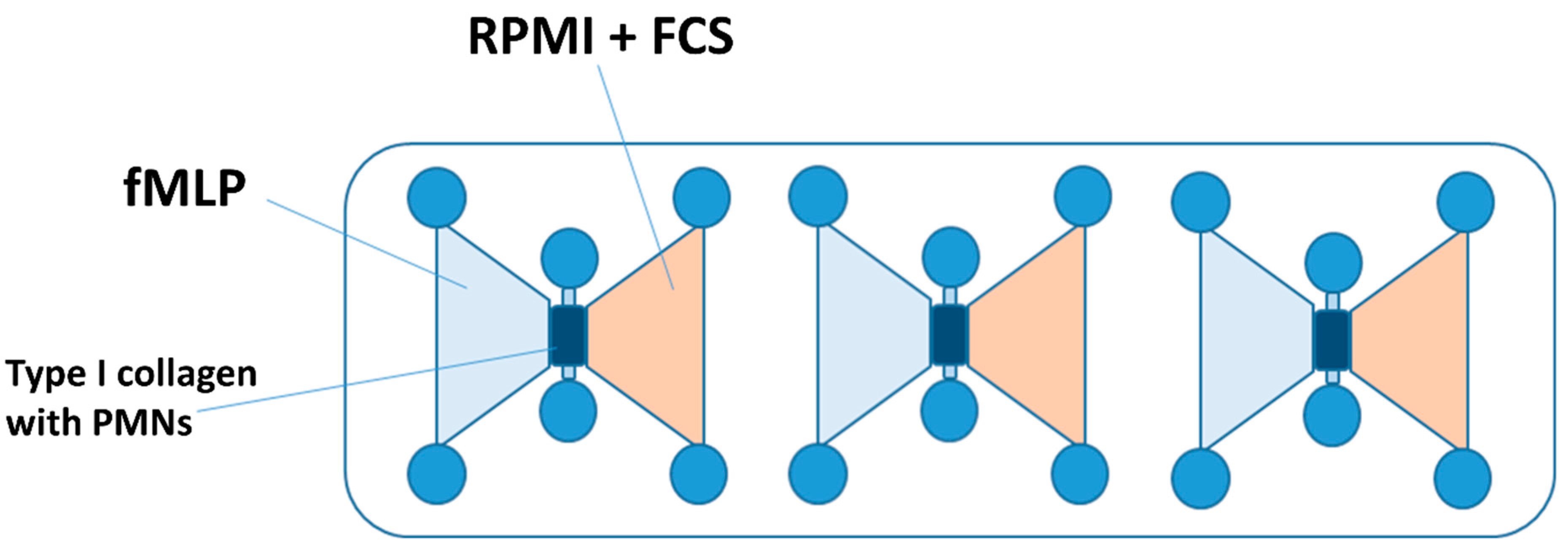 Biomedicines 12 02353 g001 Biomedicines 12 02353 g001