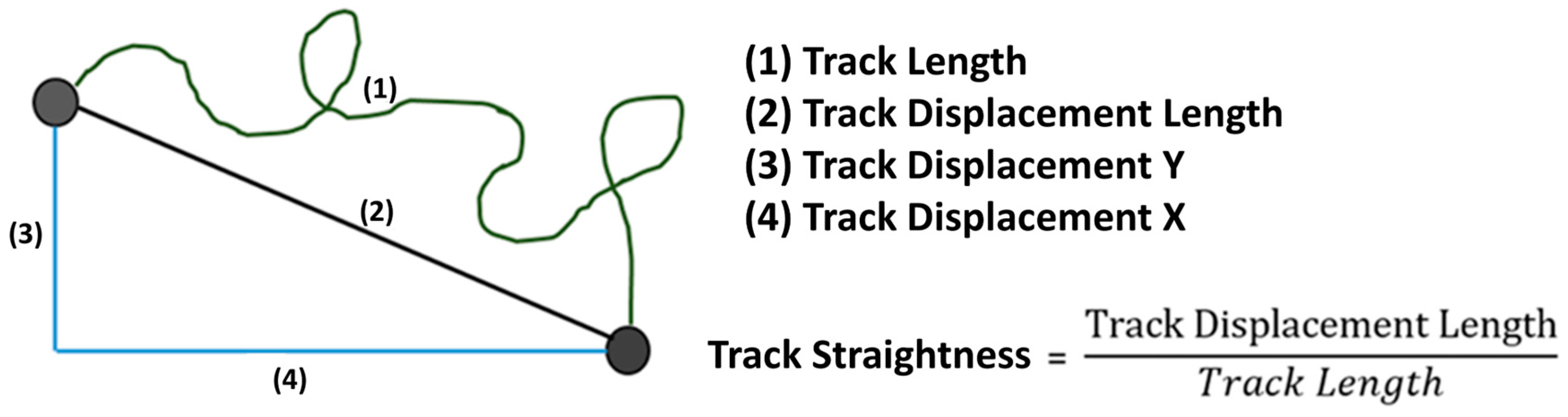 Biomedicines 12 02353 g002 Biomedicines 12 02353 g002