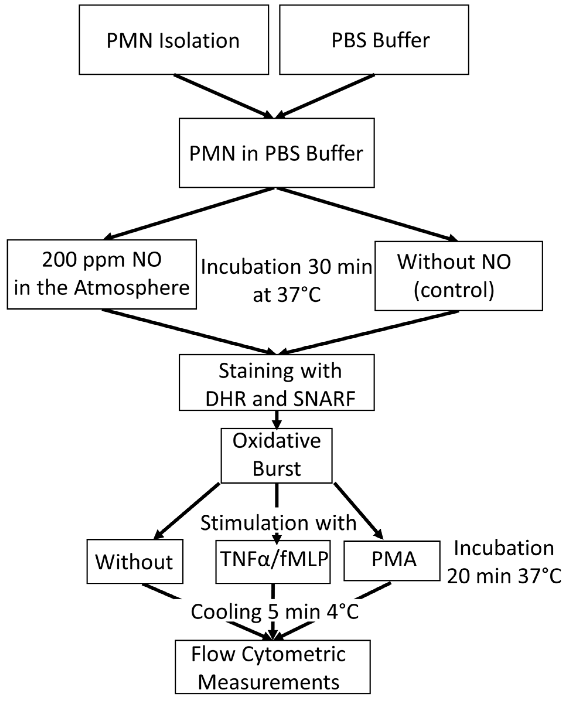 Biomedicines 12 02353 g005 Biomedicines 12 02353 g005