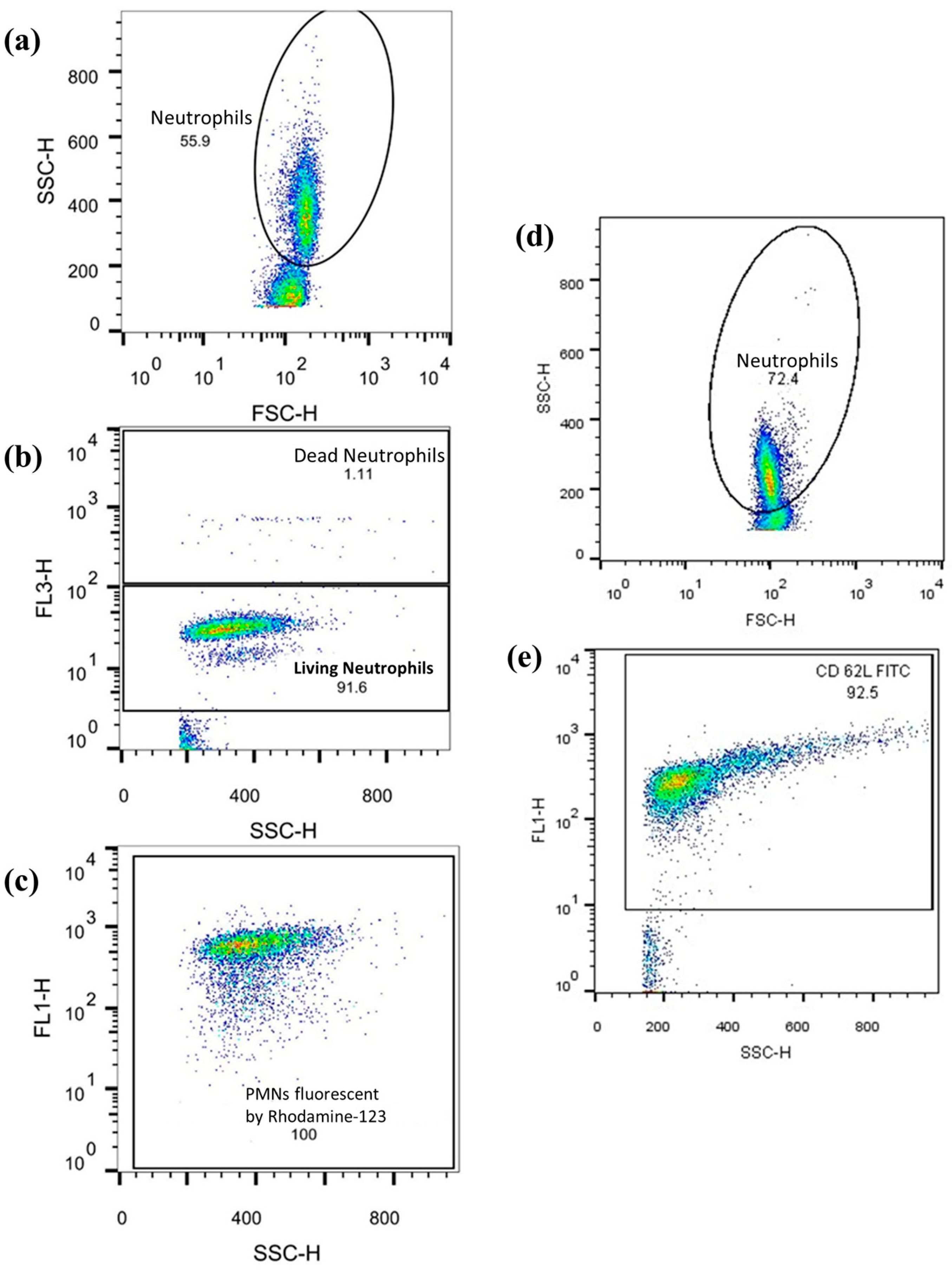 Biomedicines 12 02353 g006 Biomedicines 12 02353 g006