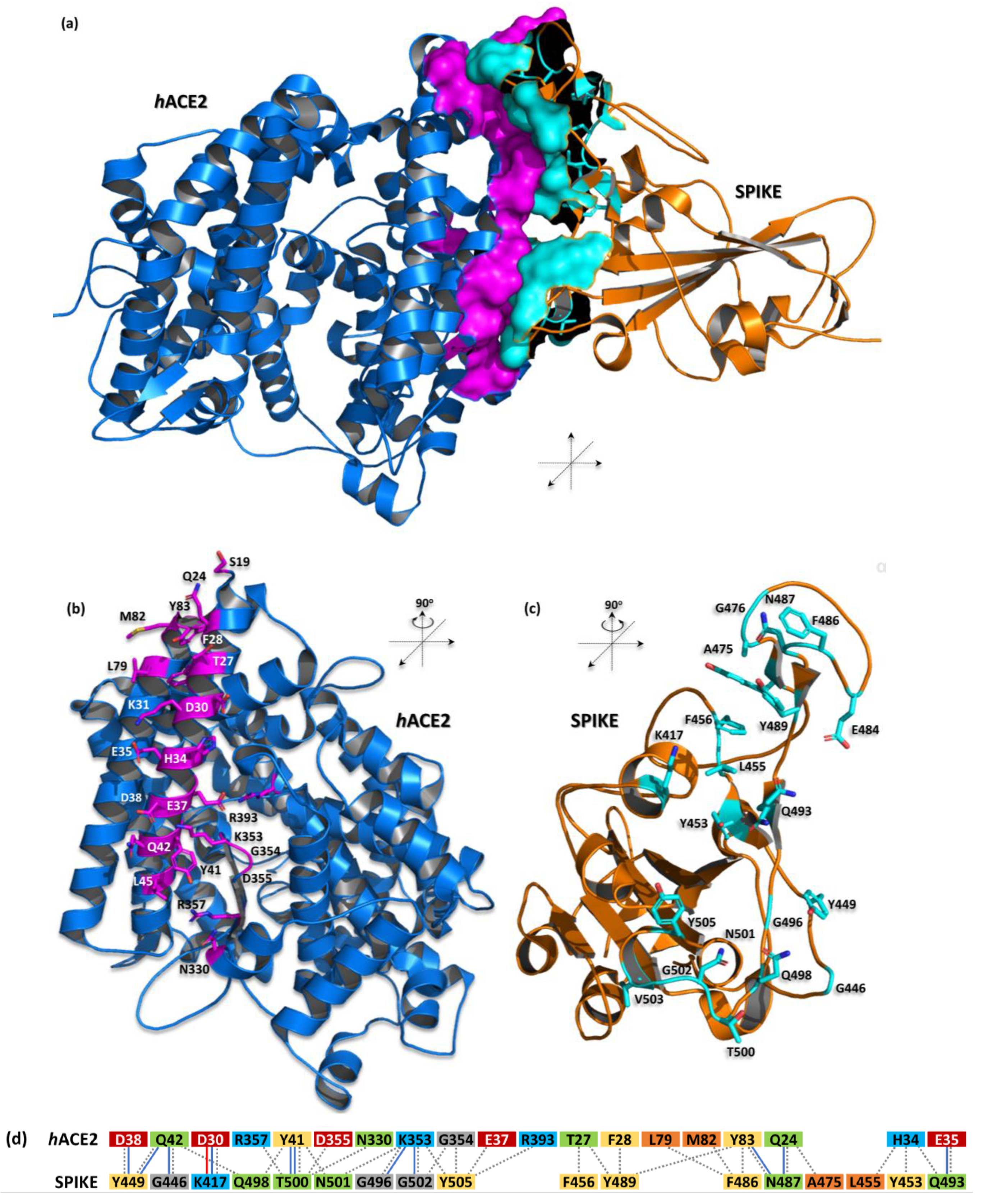 Biomedicines 12 02361 g001