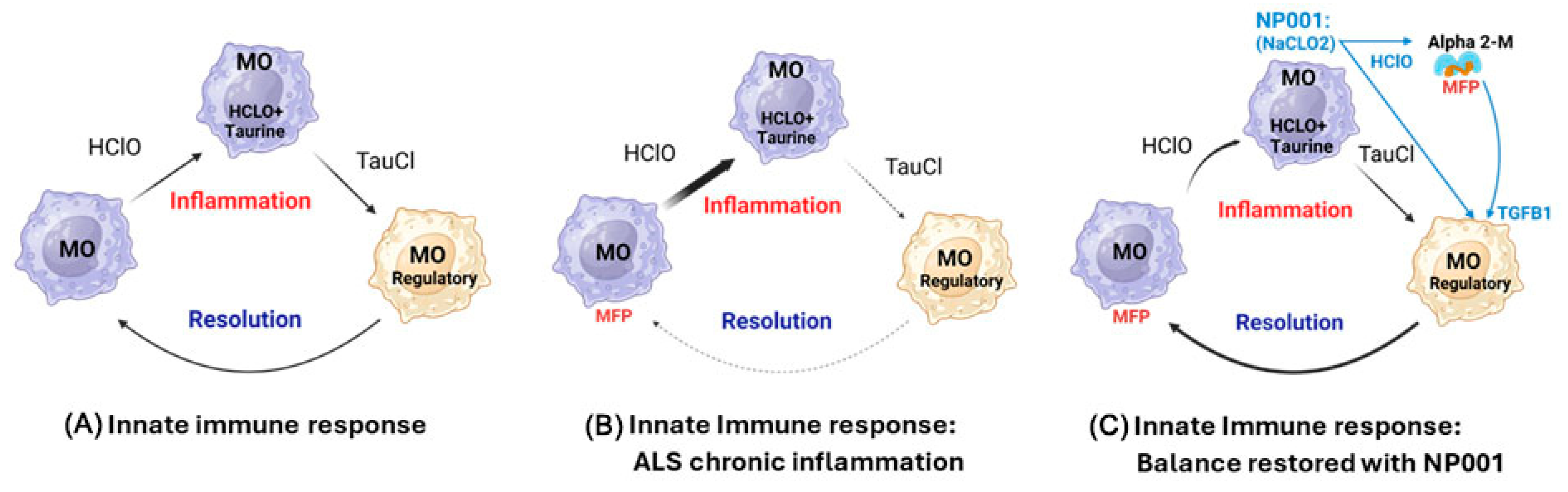 Biomedicines 12 02362 g006