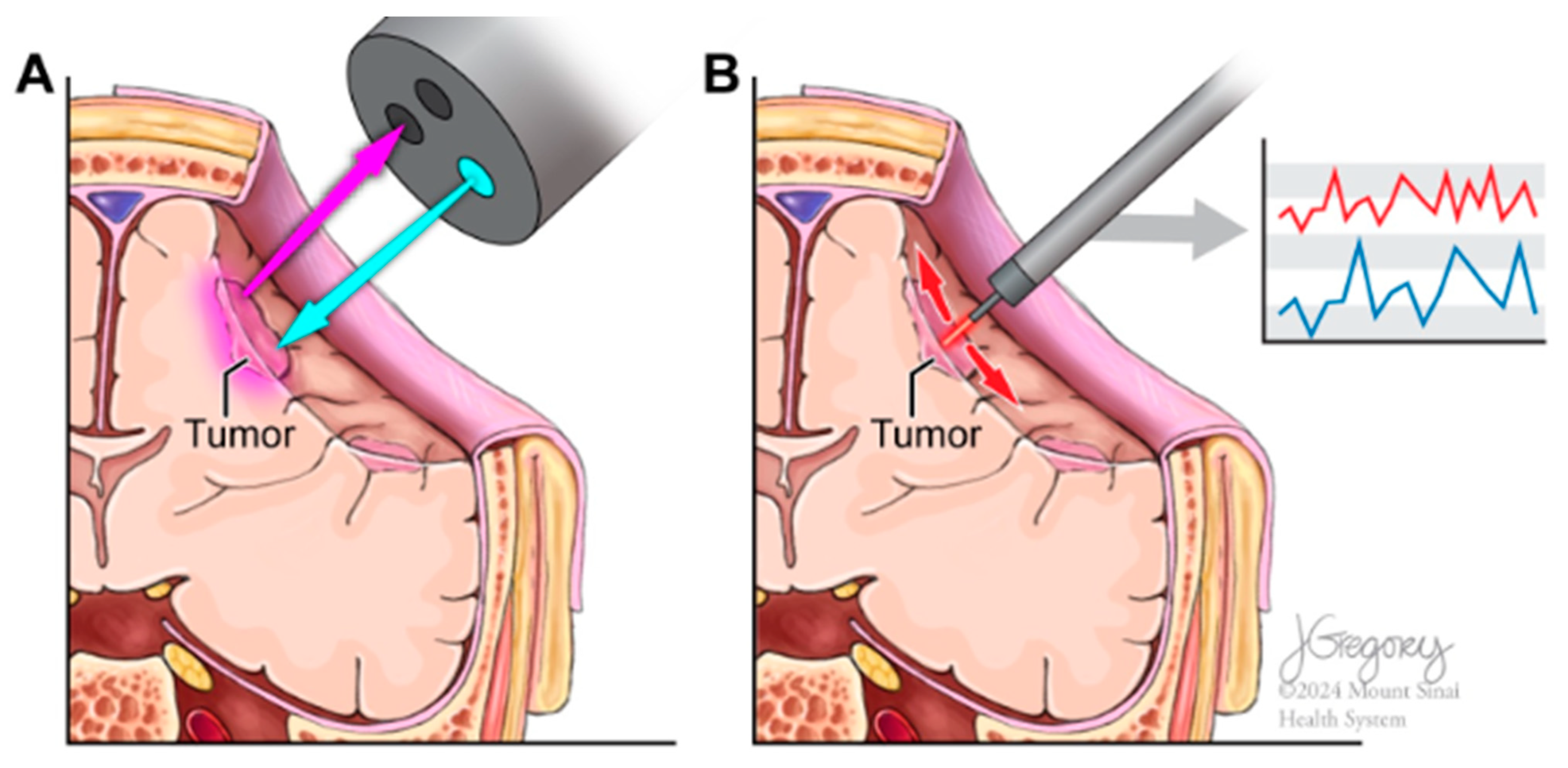 Biomedicines 12 02363 g001