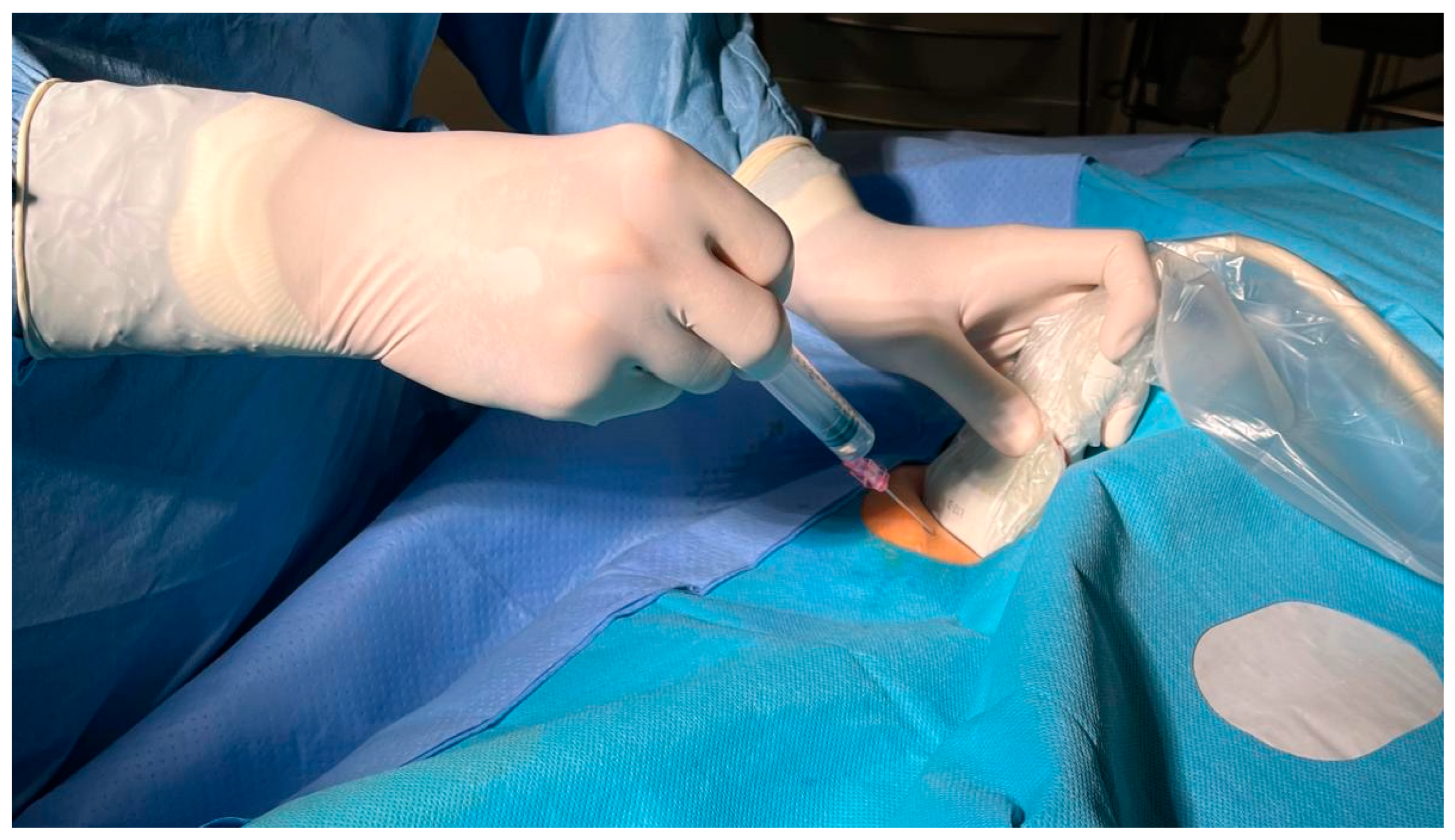 Biomedicines 12 02375 g001