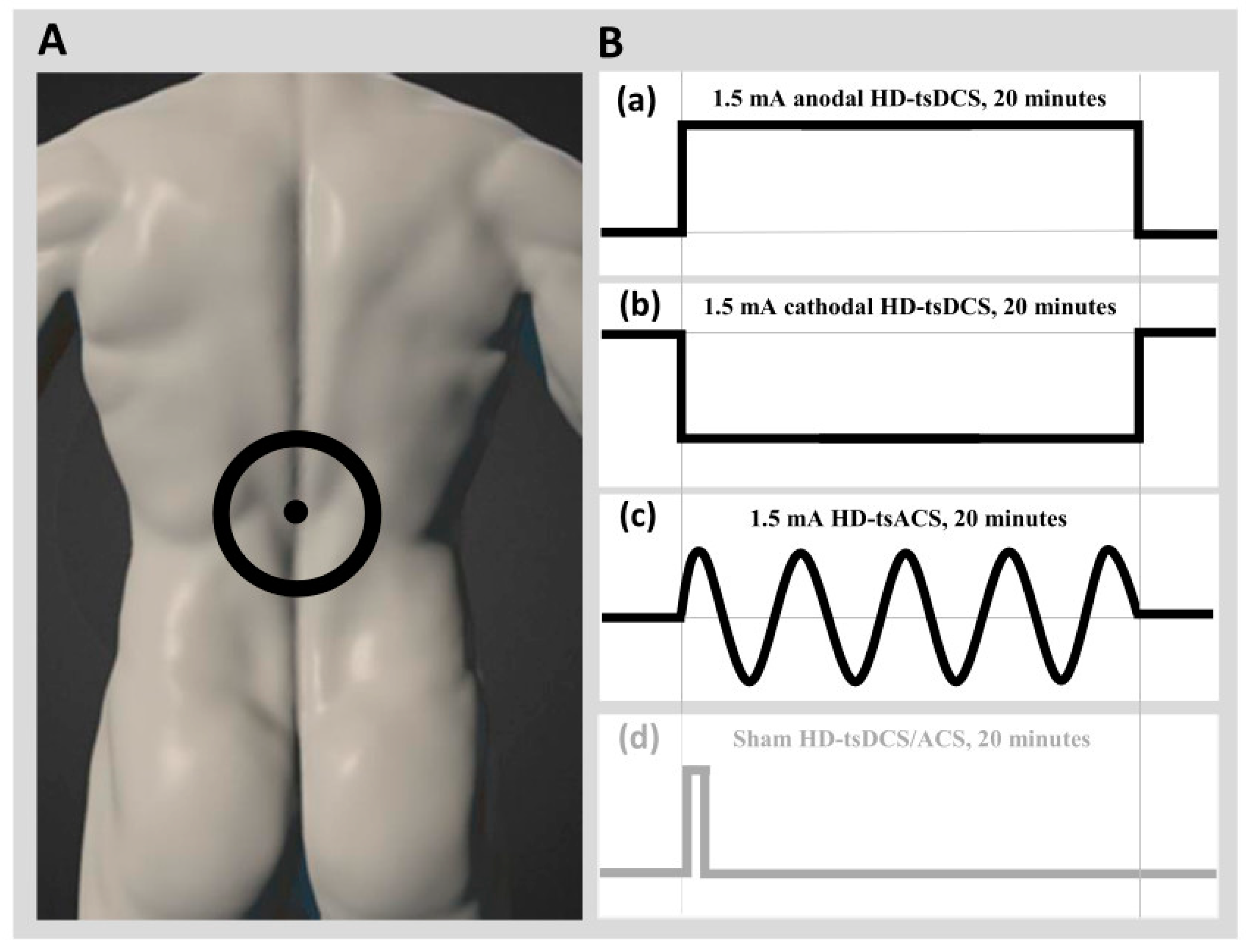 Biomedicines 12 02379 g001 Biomedicines 12 02379 g001
