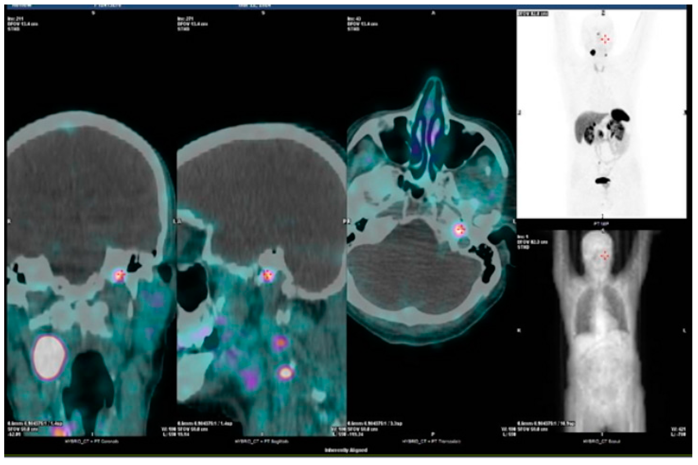 Biomedicines 12 02385 g001