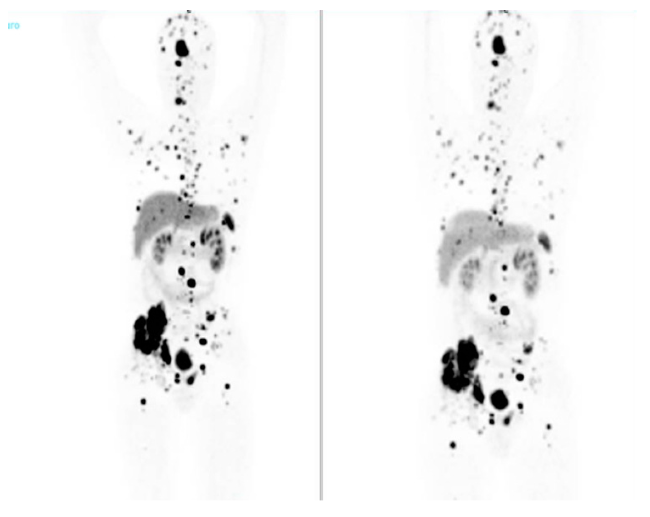 Biomedicines 12 02385 g002