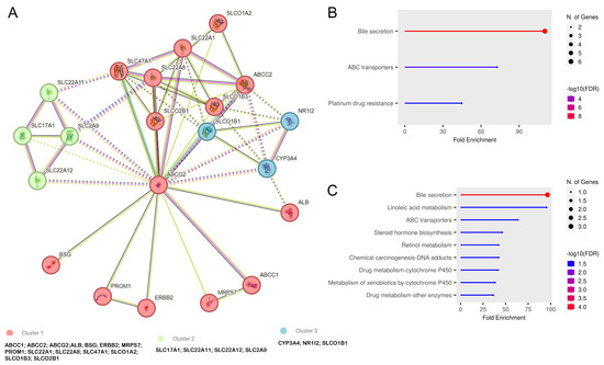 ABCG2 Gene Expression in Non-Small Cell Lung Cancer ABCG2 Gene Expression in Non-Small Cell Lung Cancer