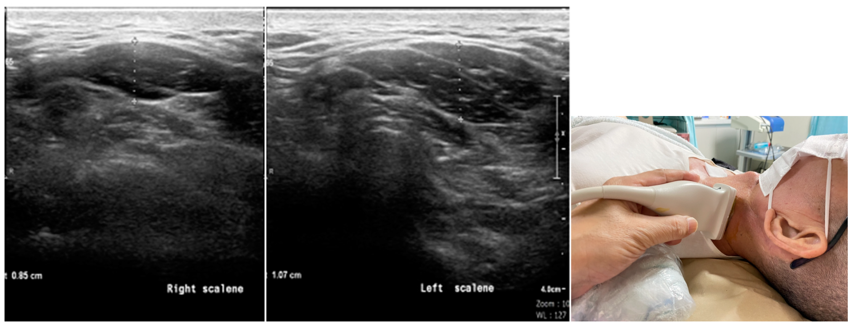 Biomedicines 12 02395 g001