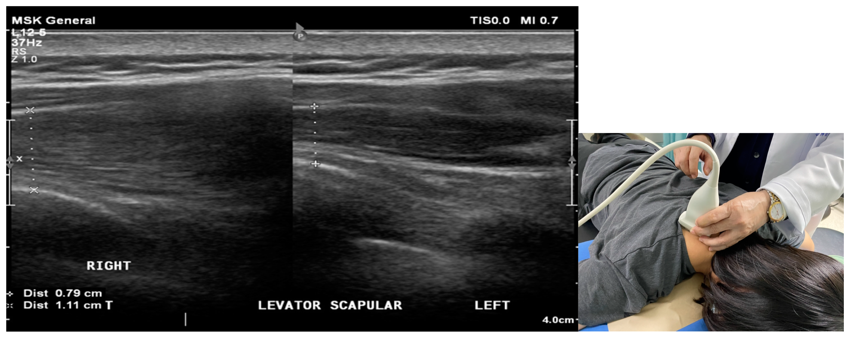 Biomedicines 12 02395 g002