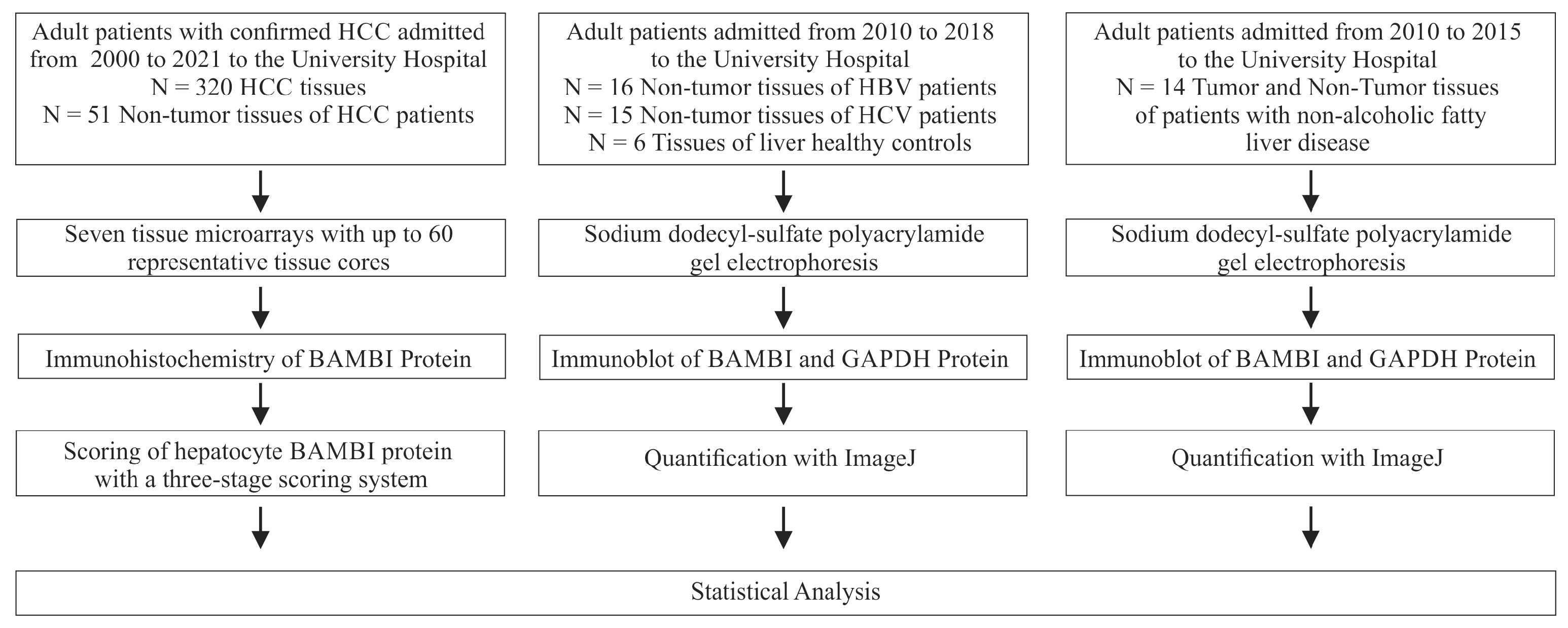 Biomedicines 12 02397 g001