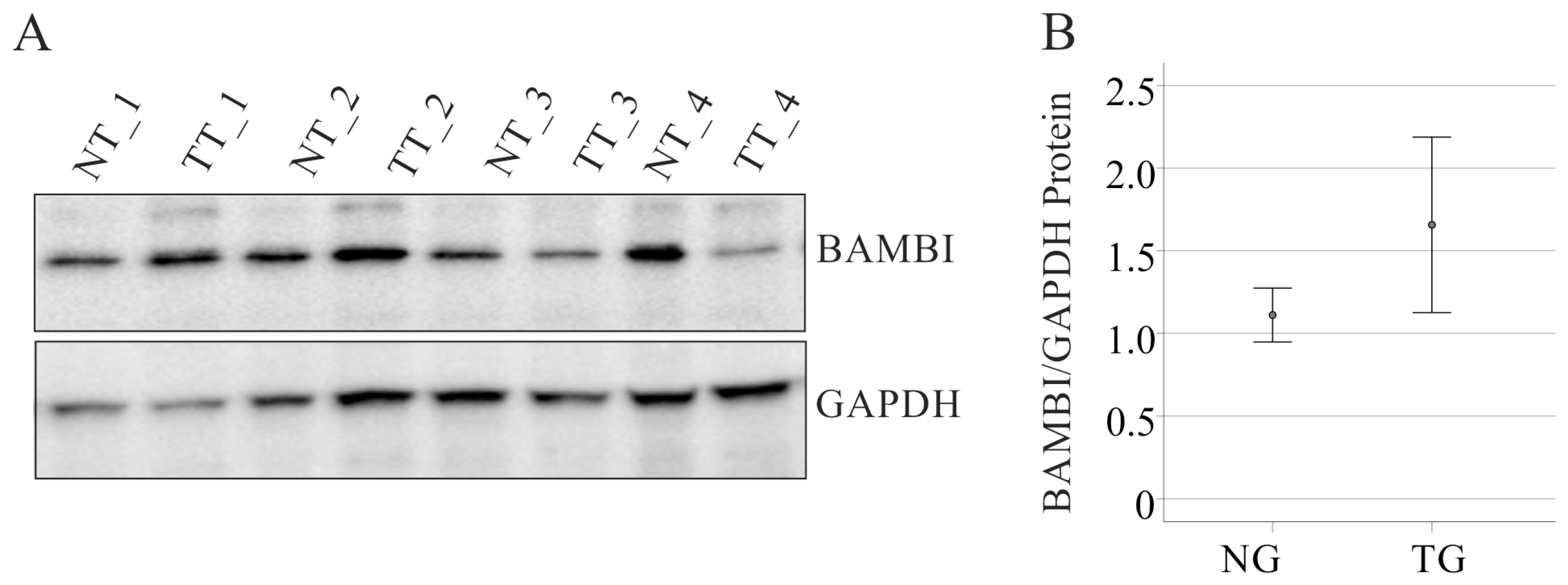 Biomedicines 12 02397 g003