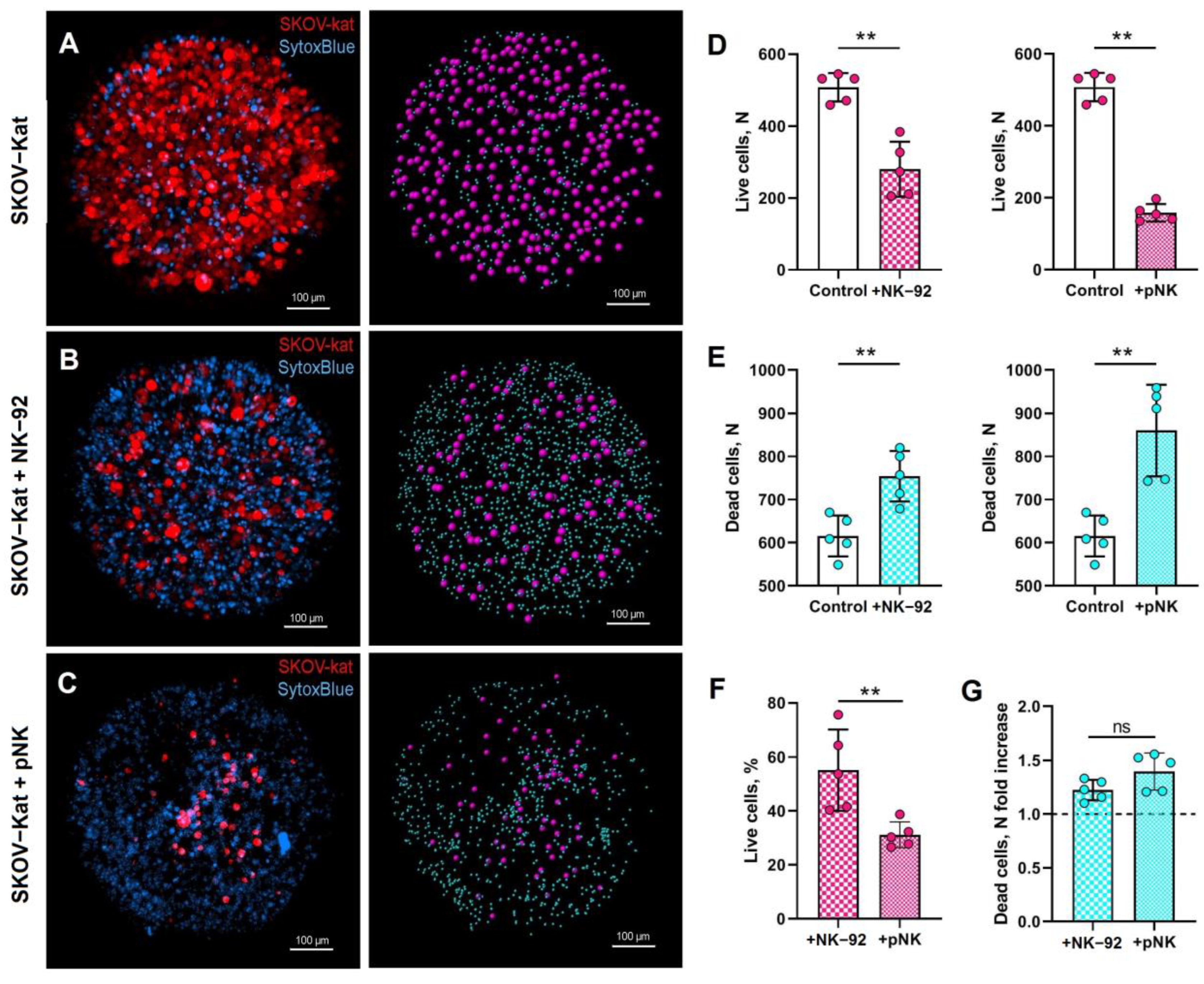 Biomedicines 12 02398 g002