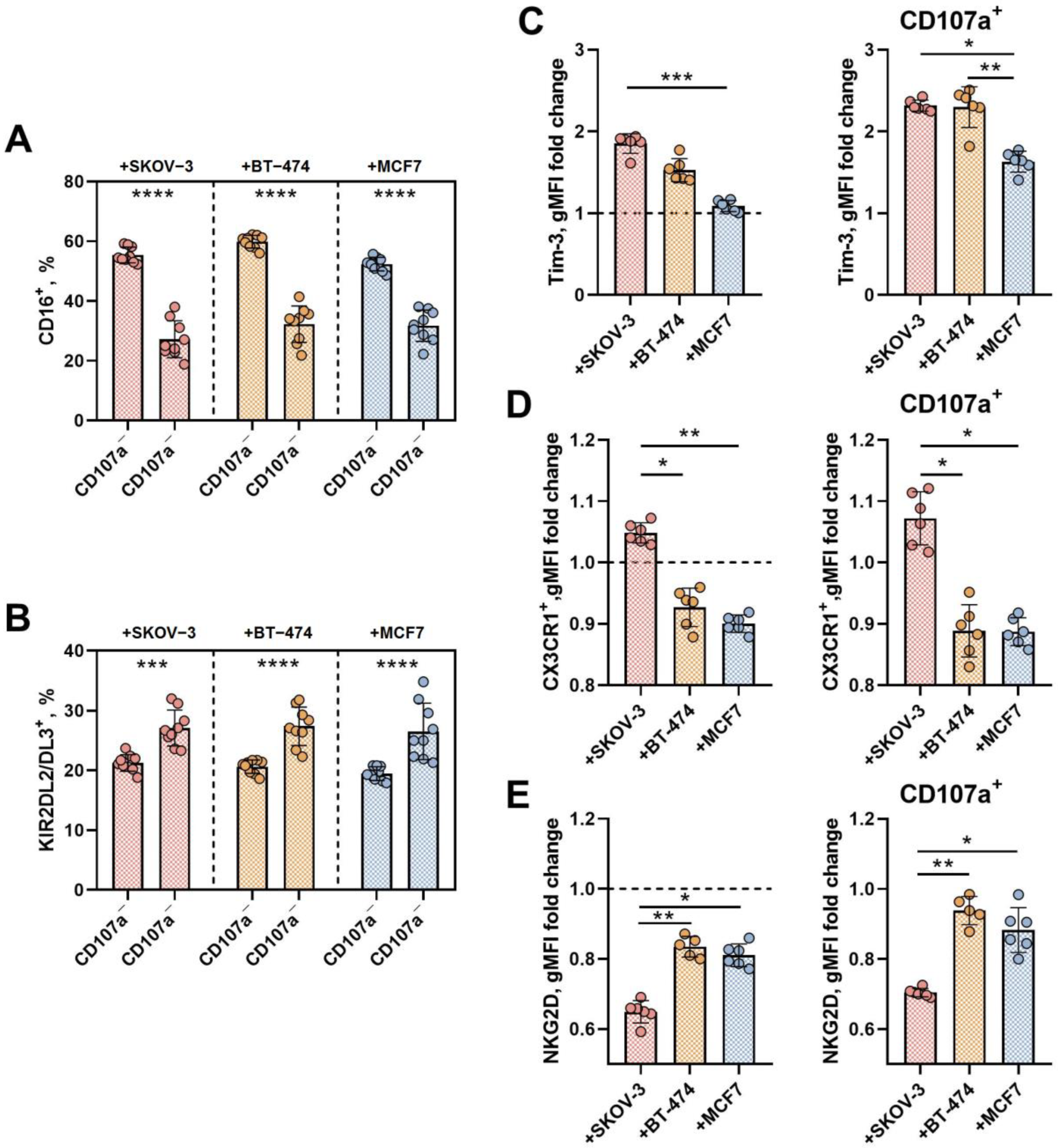 Biomedicines 12 02398 g005