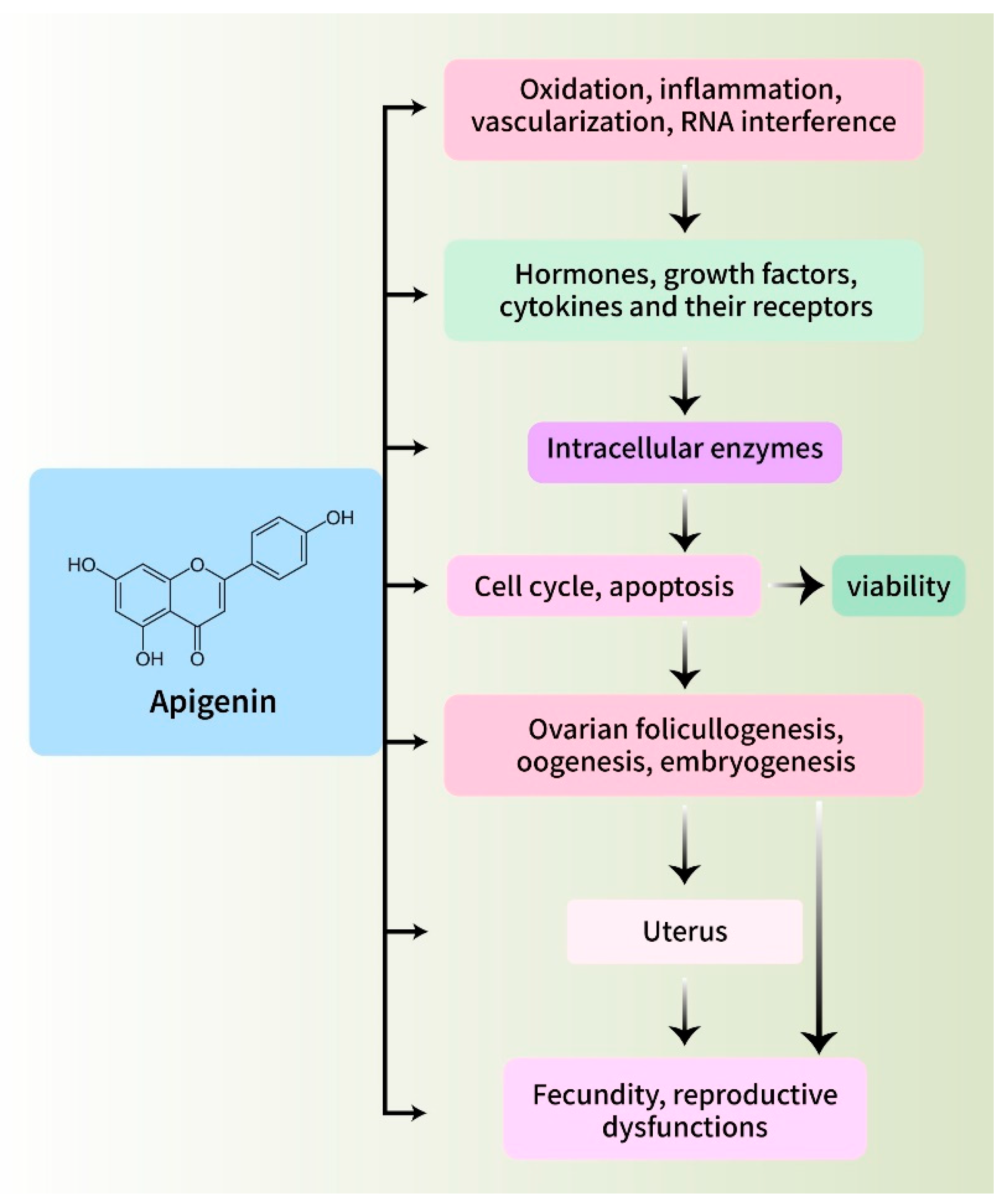 Biomedicines 12 02405 g007