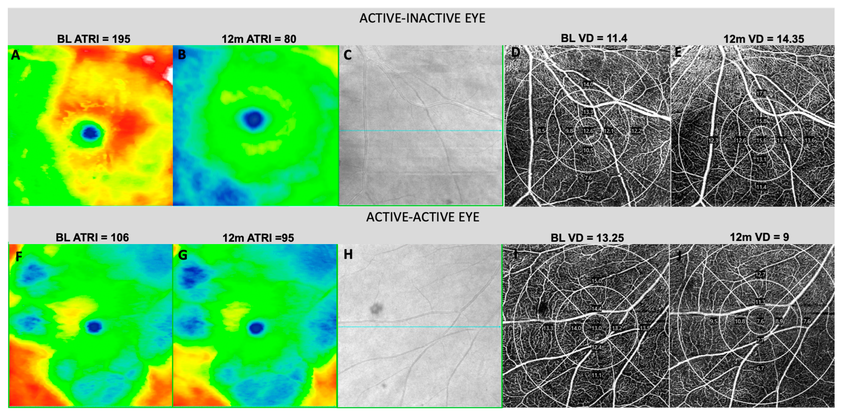 Biomedicines 12 02414 g002