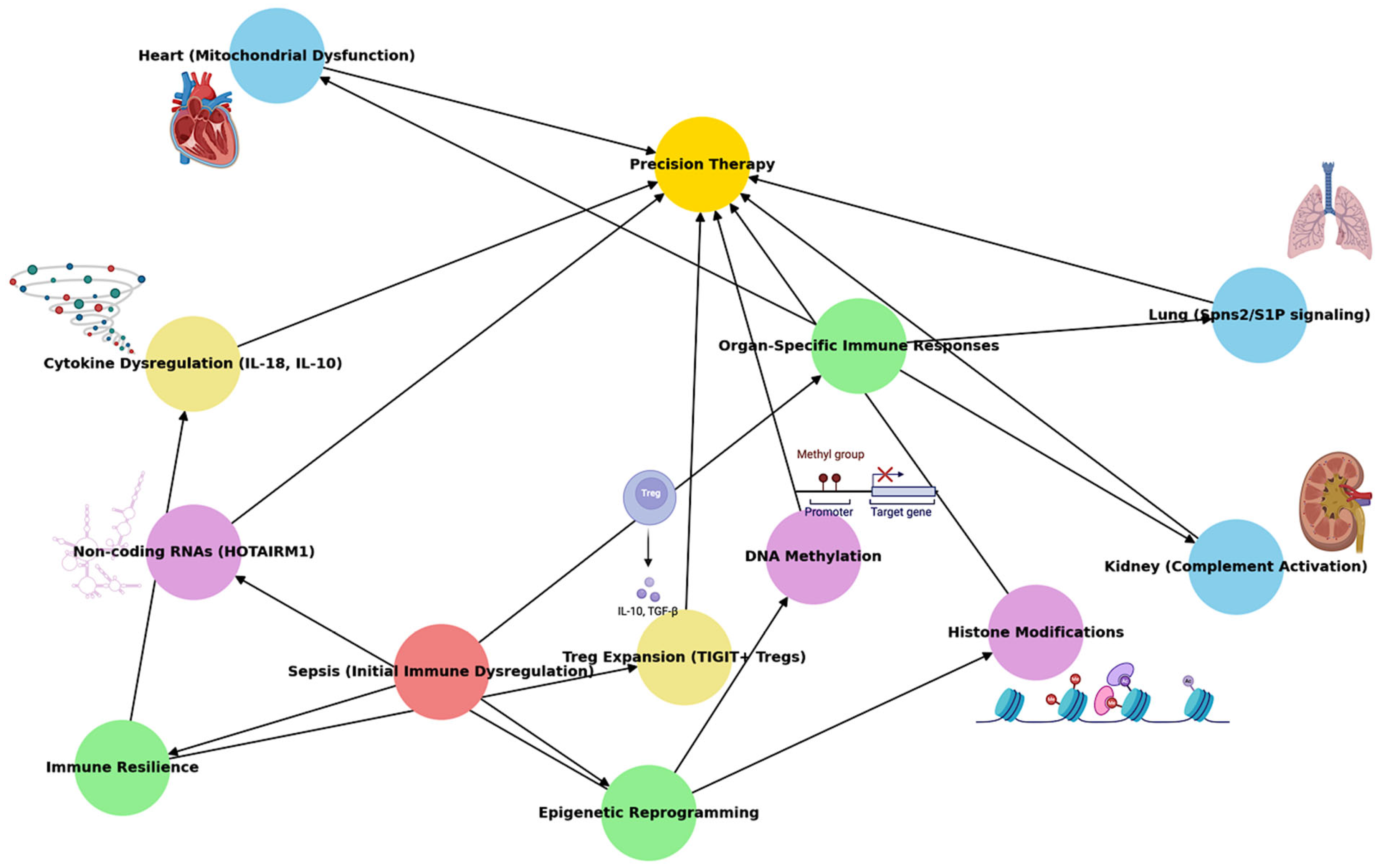 Biomedicines 12 02420 g001