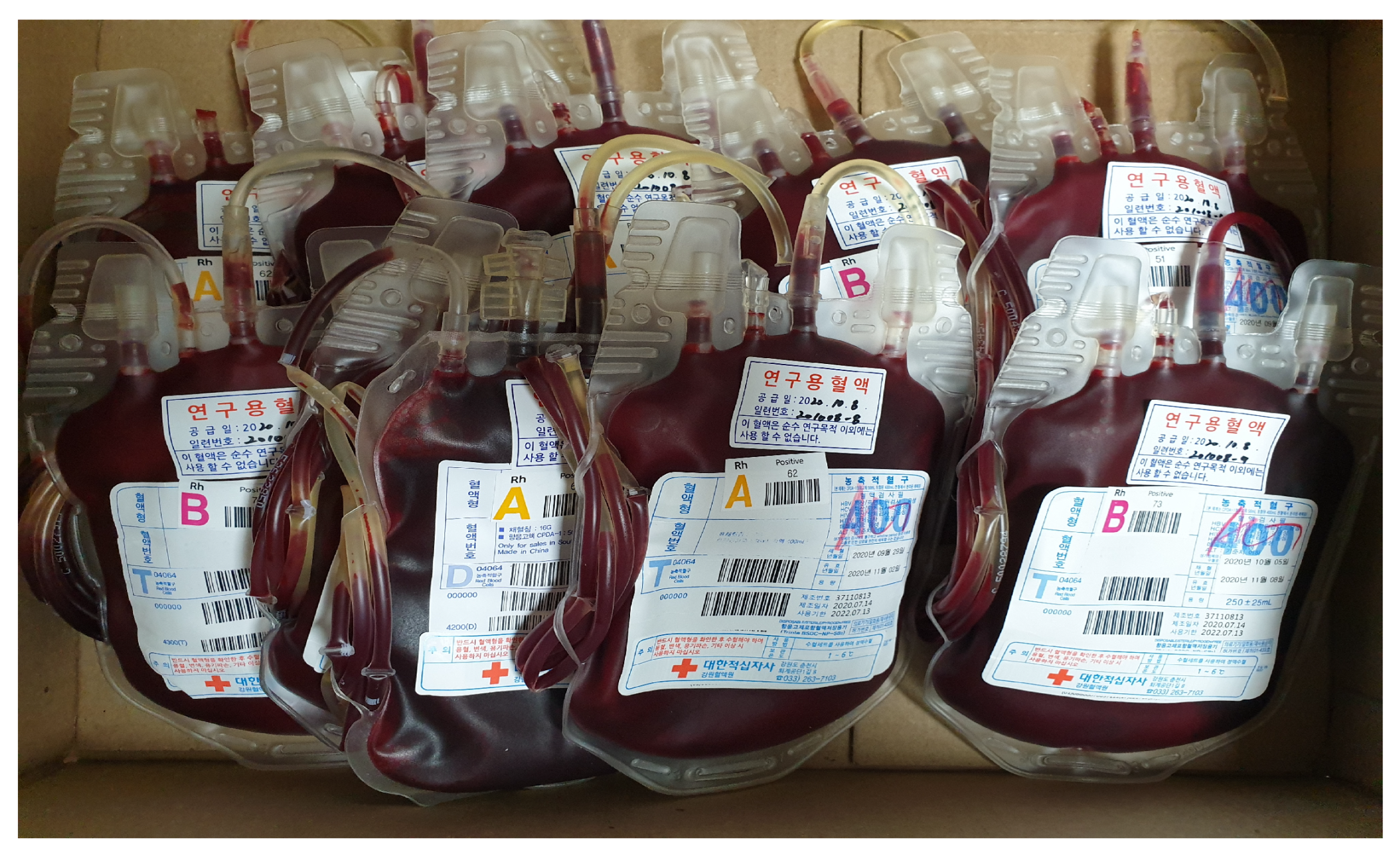 Biomedicines 12 02421 g004