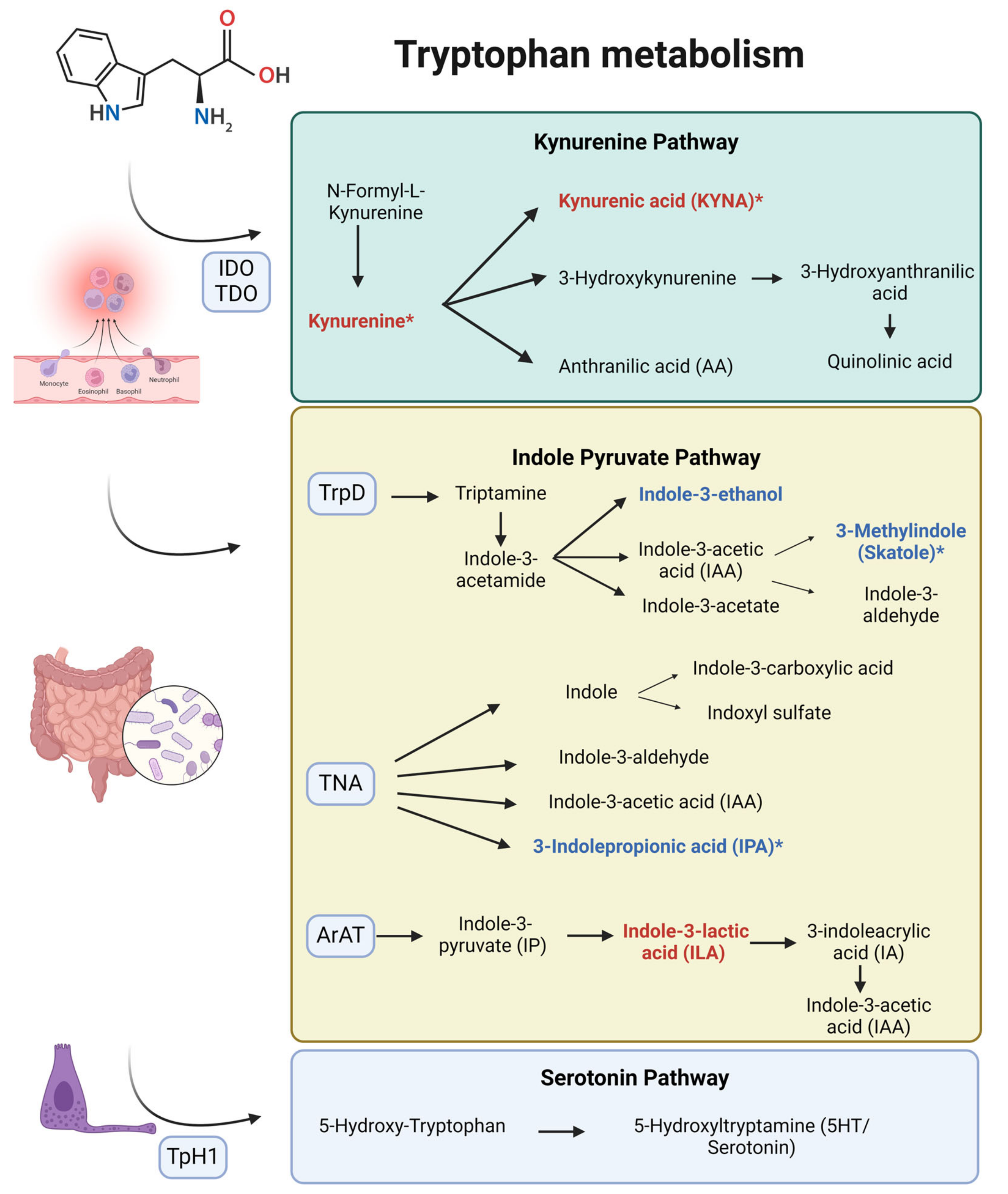 Biomedicines 12 02424 g002