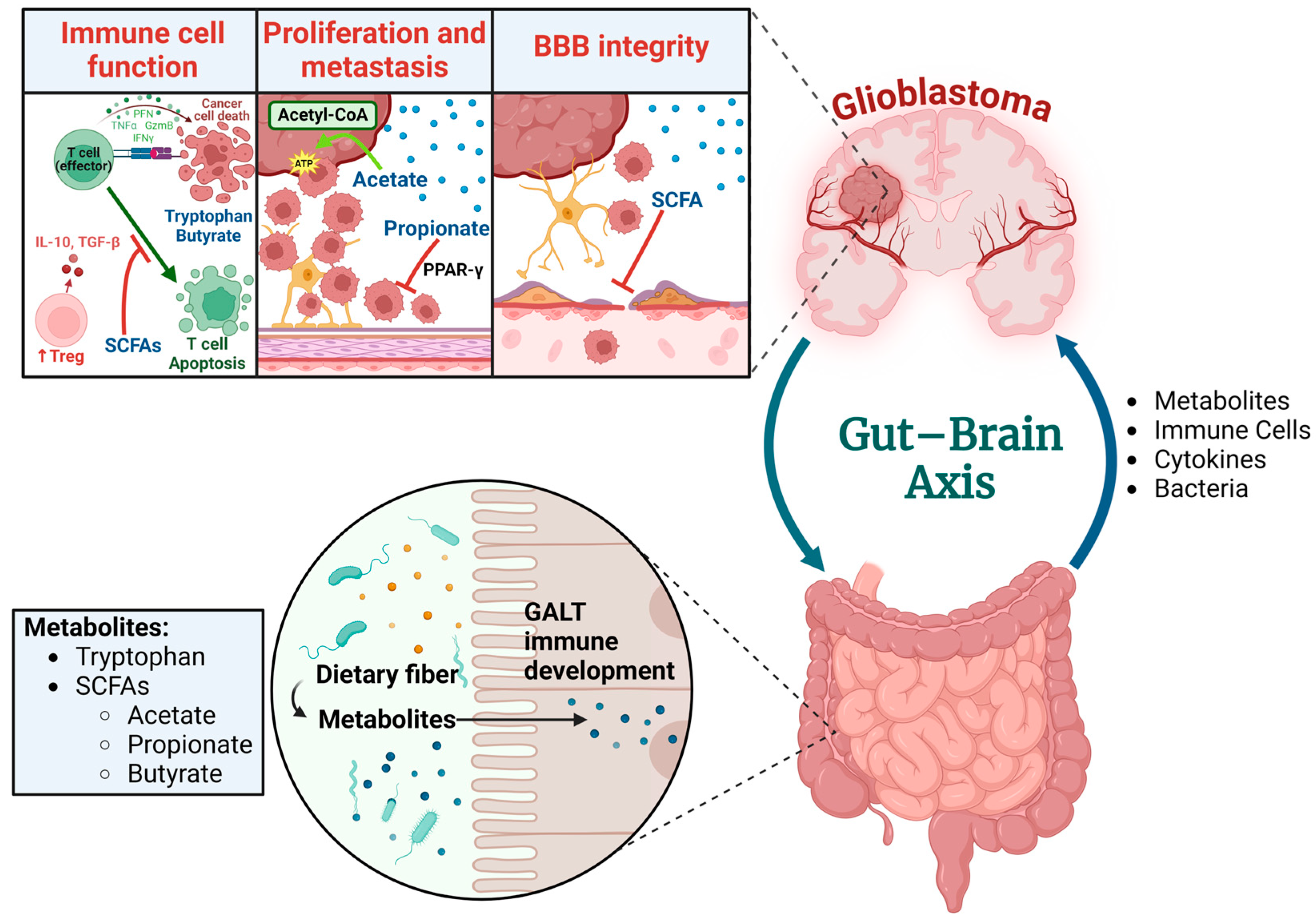 Biomedicines 12 02429 g002
