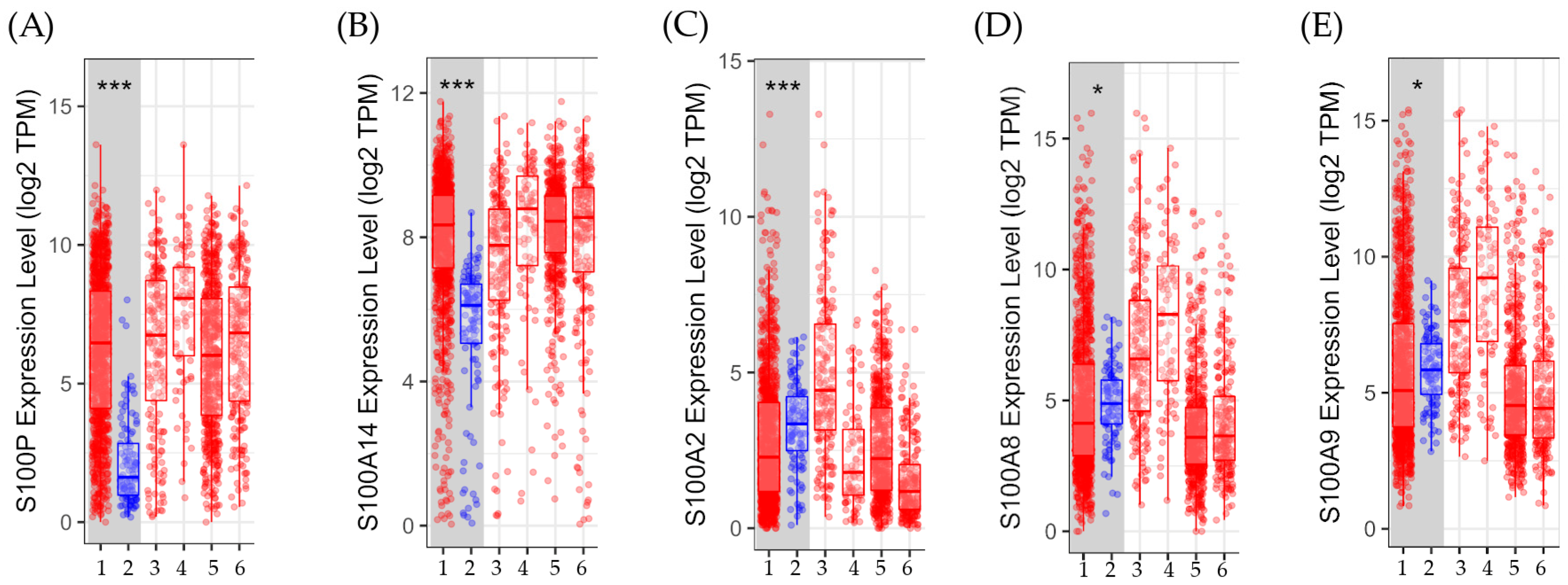 Biomedicines 12 02432 g004