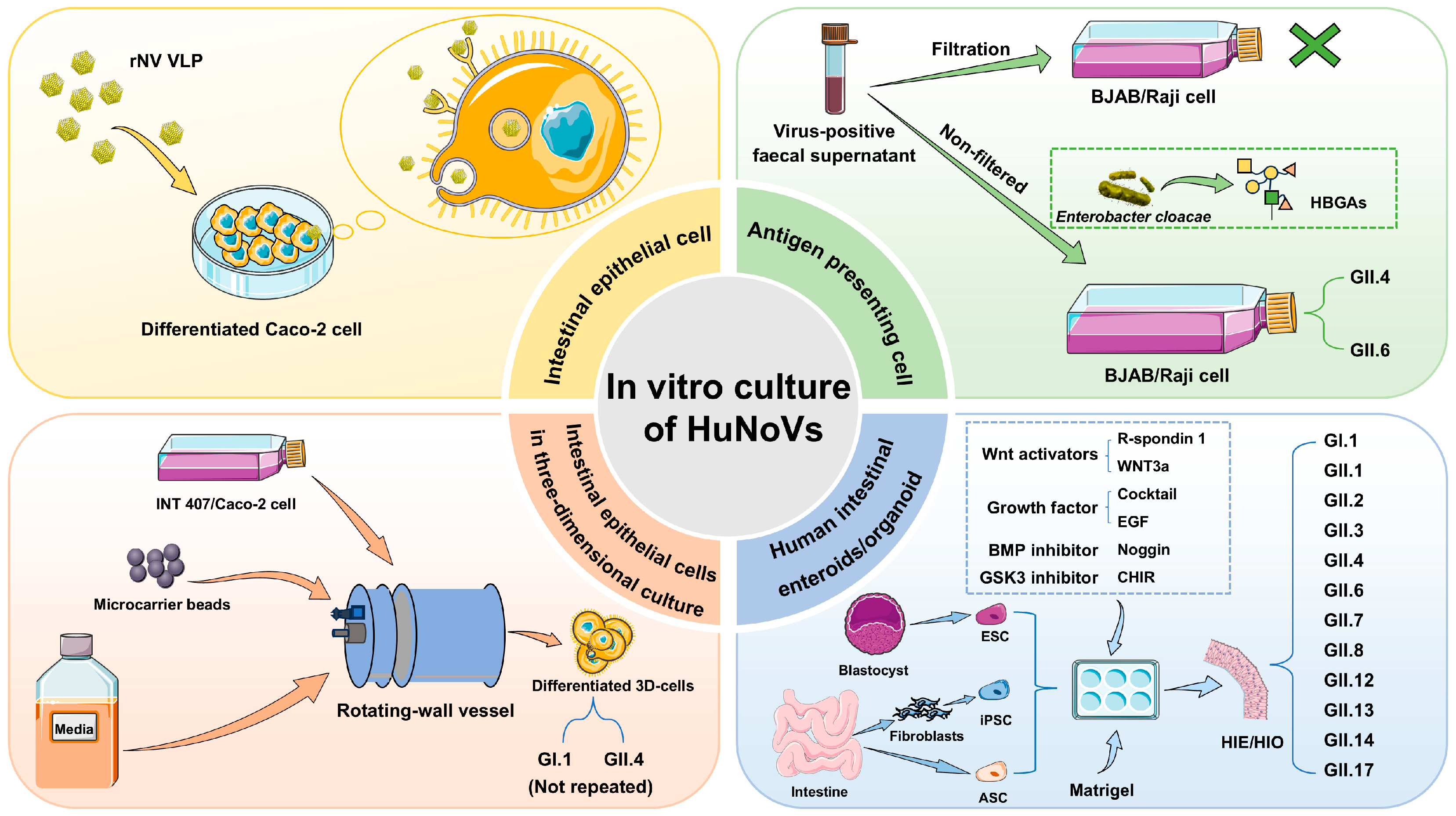 Biomedicines 12 02442 g002