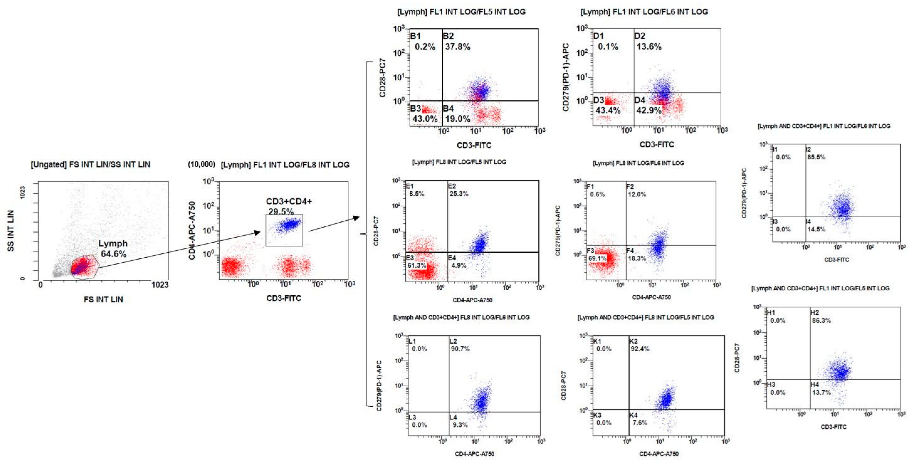 Biomedicines 12 02444 g001