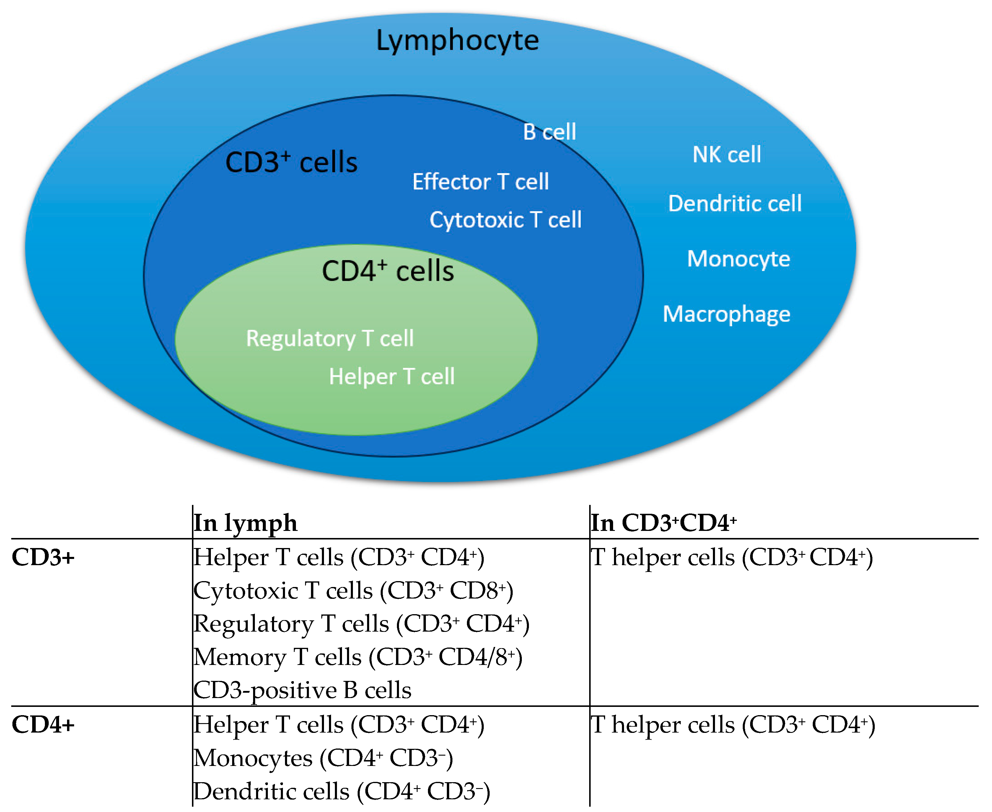 Biomedicines 12 02444 g002