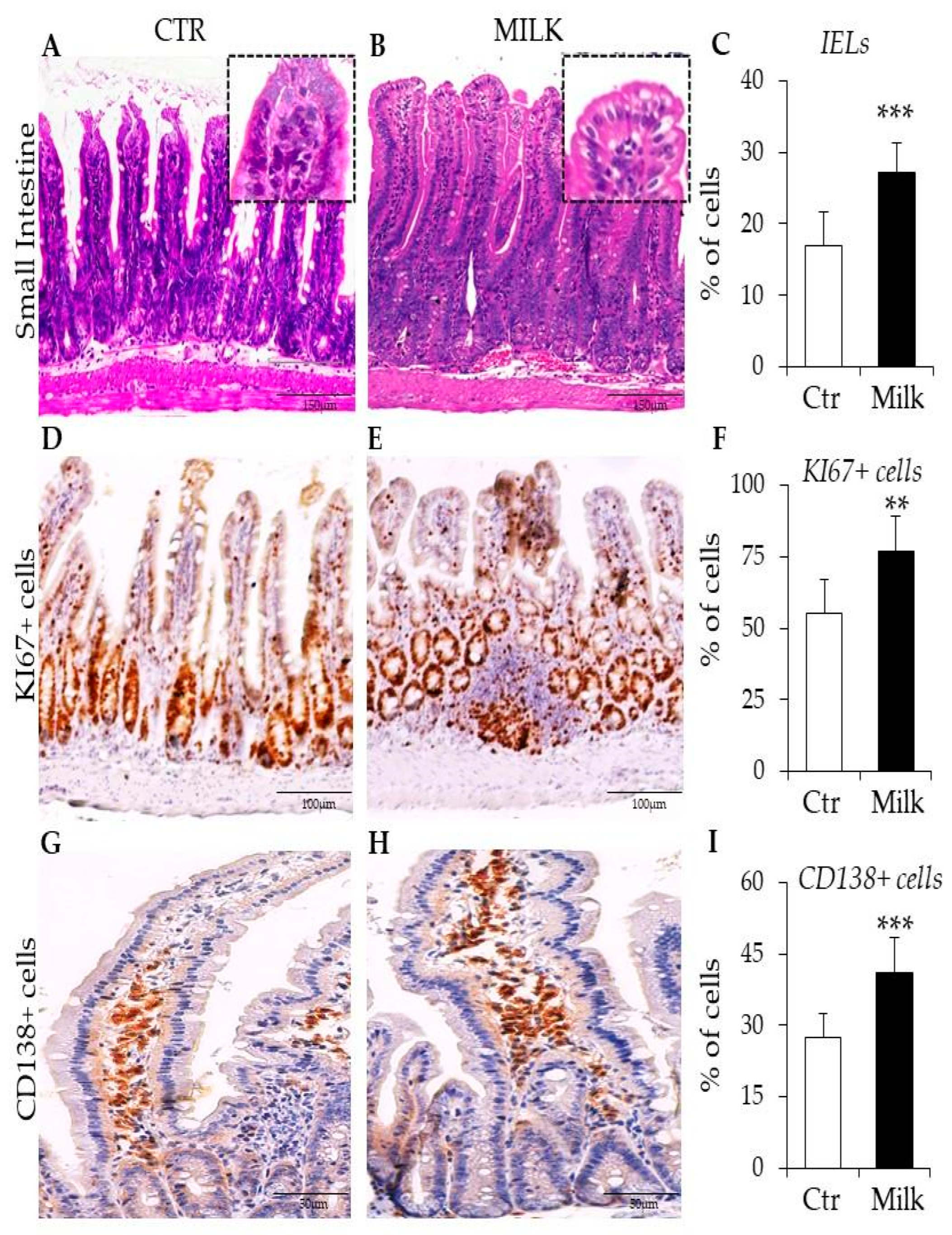 Biomedicines 12 02448 g003