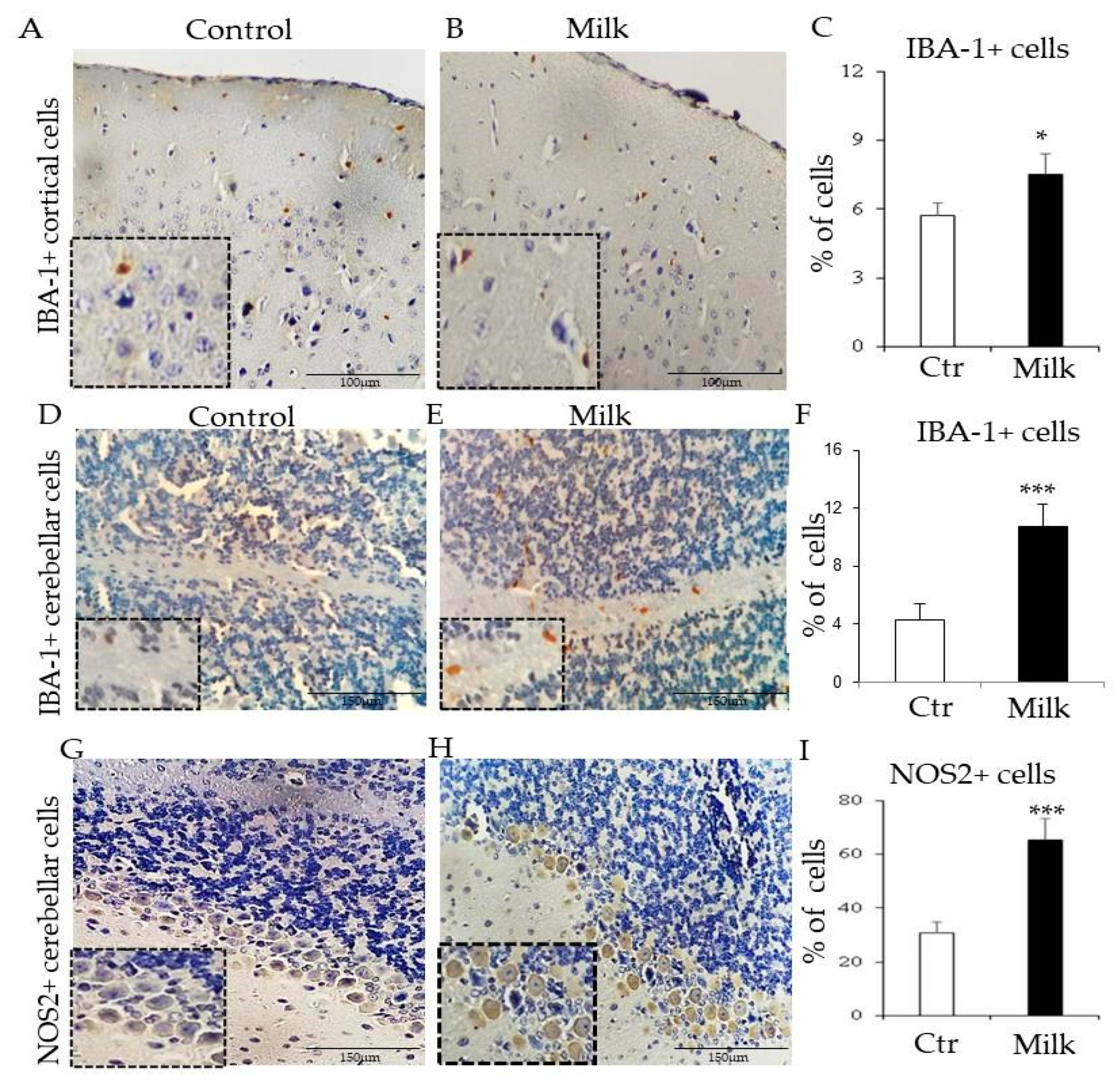 Biomedicines 12 02448 g006
