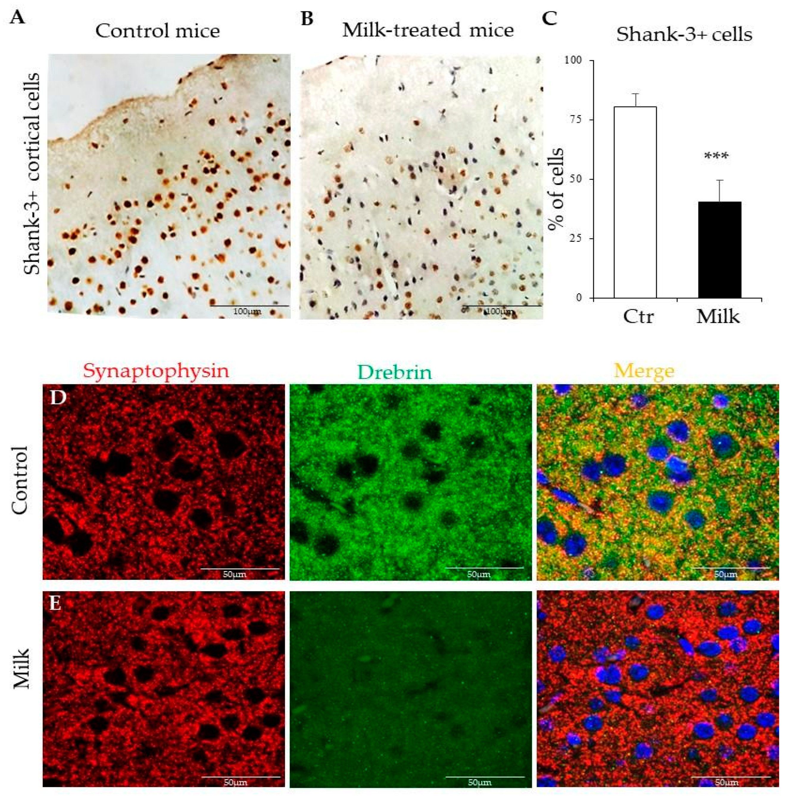 Biomedicines 12 02448 g007