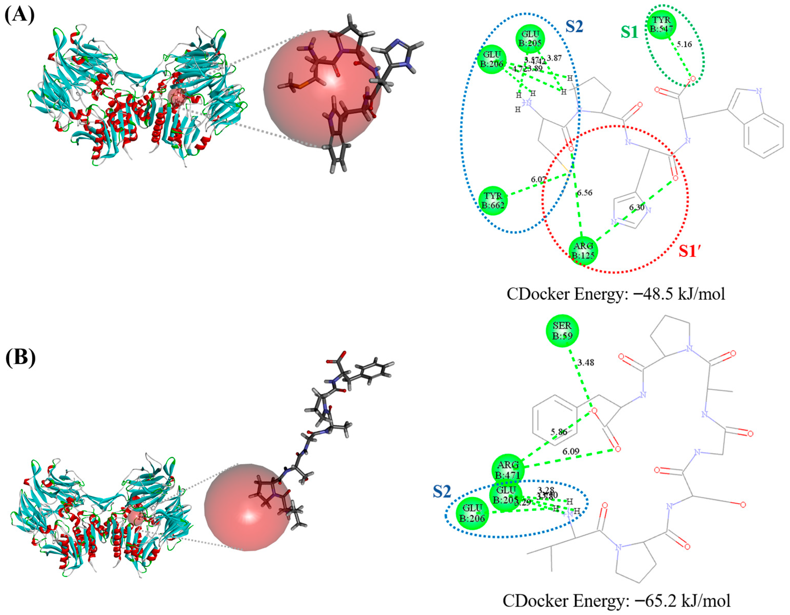 Biomedicines 12 02452 g007