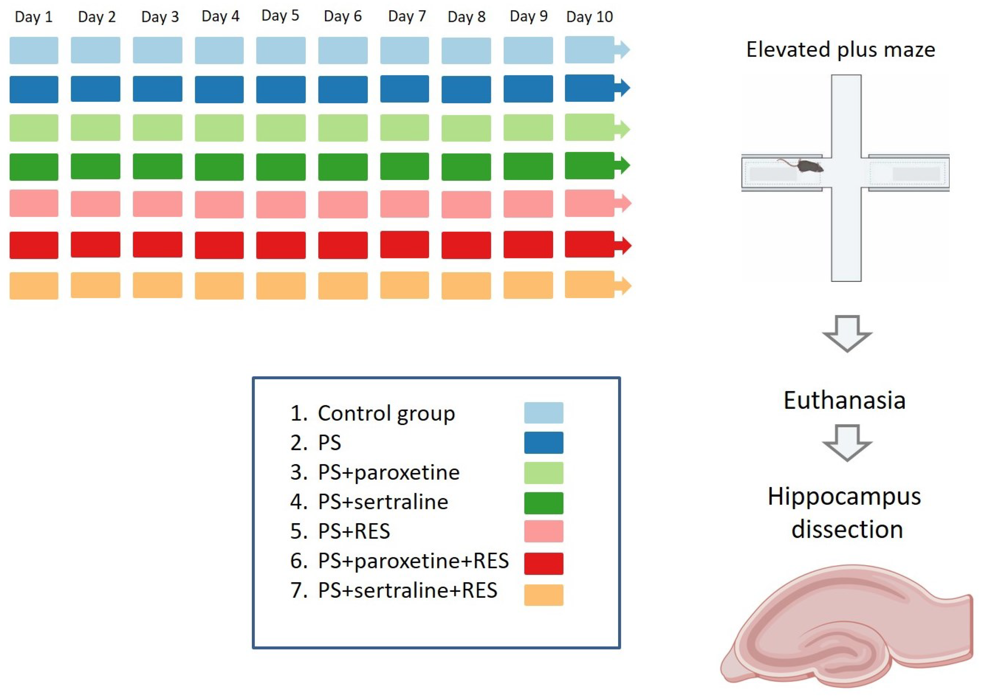 Biomedicines 12 02455 g001