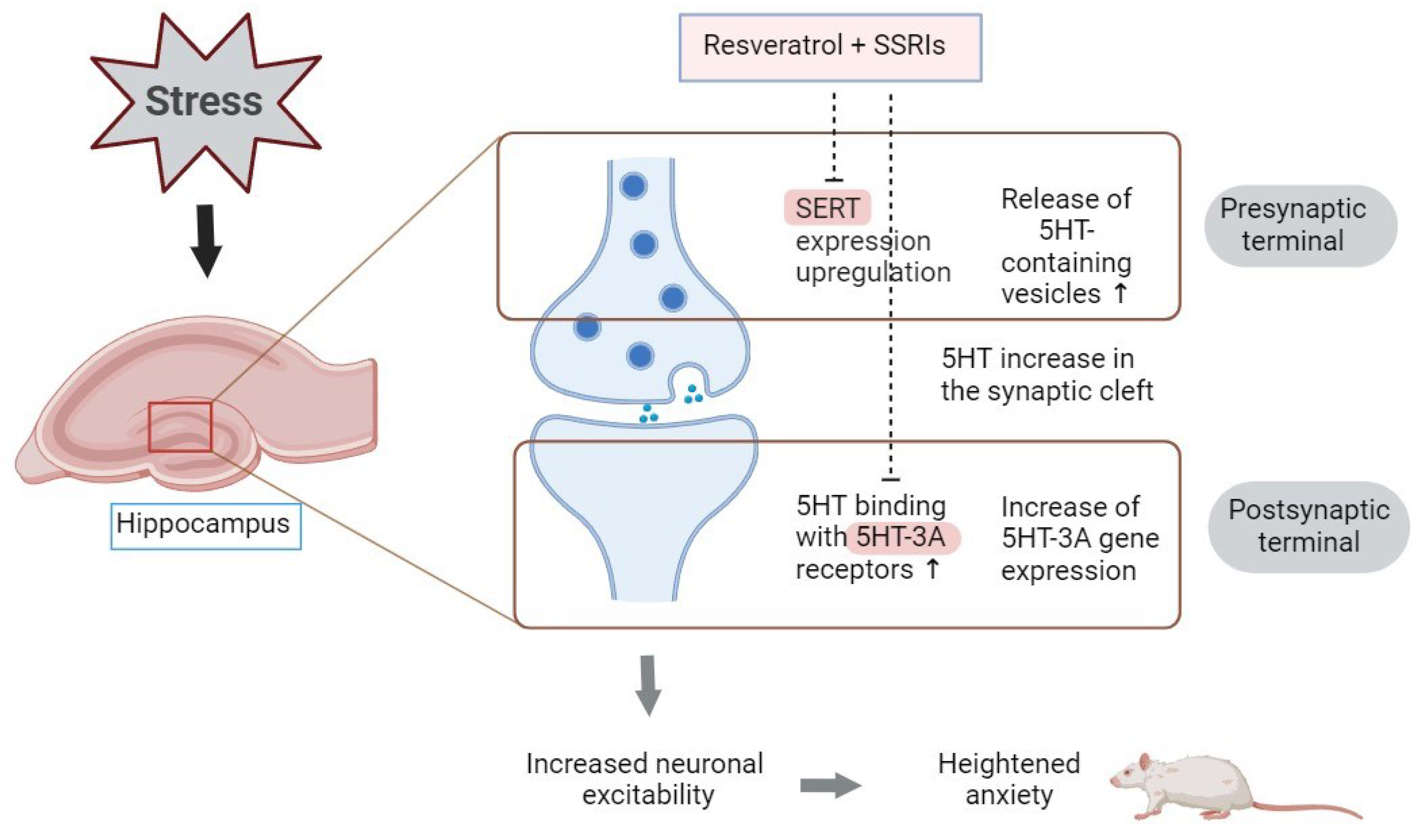 Biomedicines 12 02455 g009