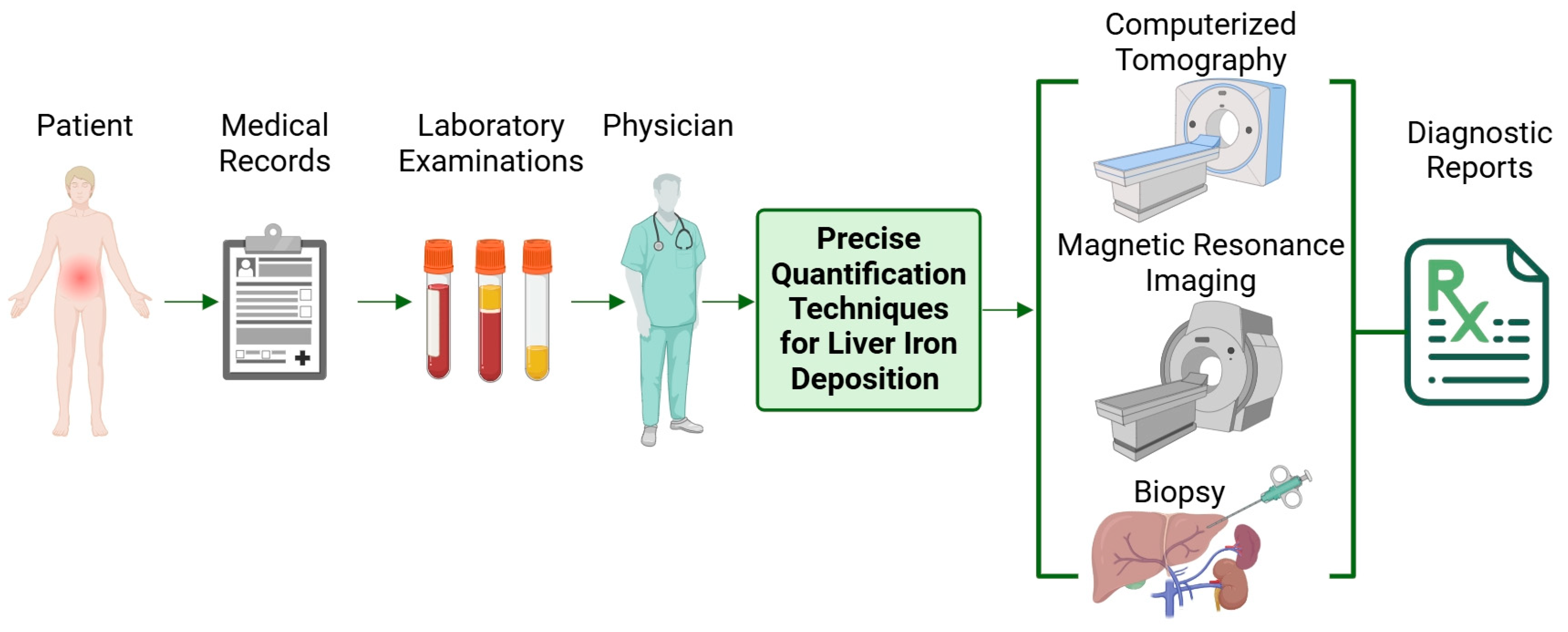 Biomedicines 12 02456 g001
