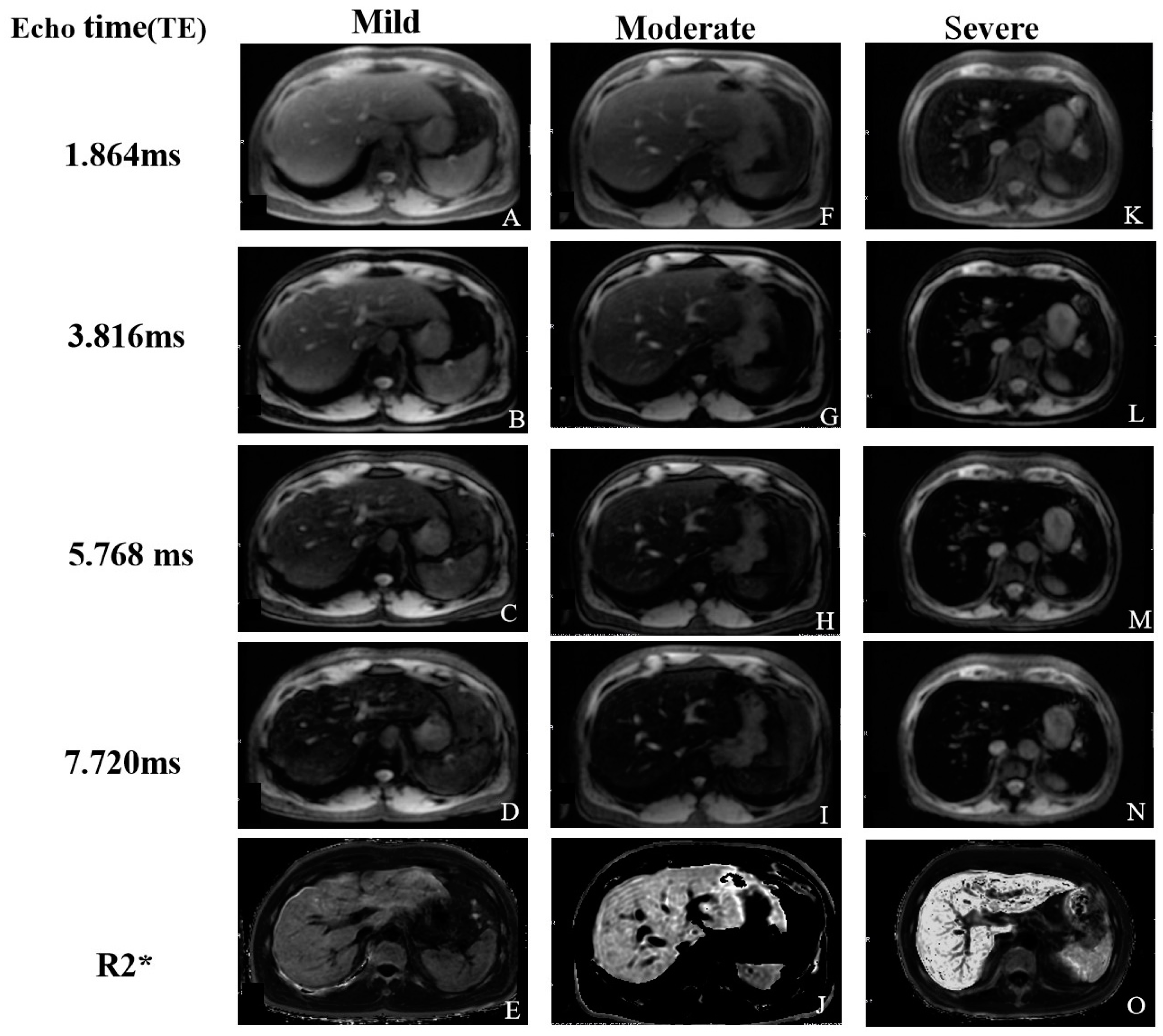 Biomedicines 12 02456 g004