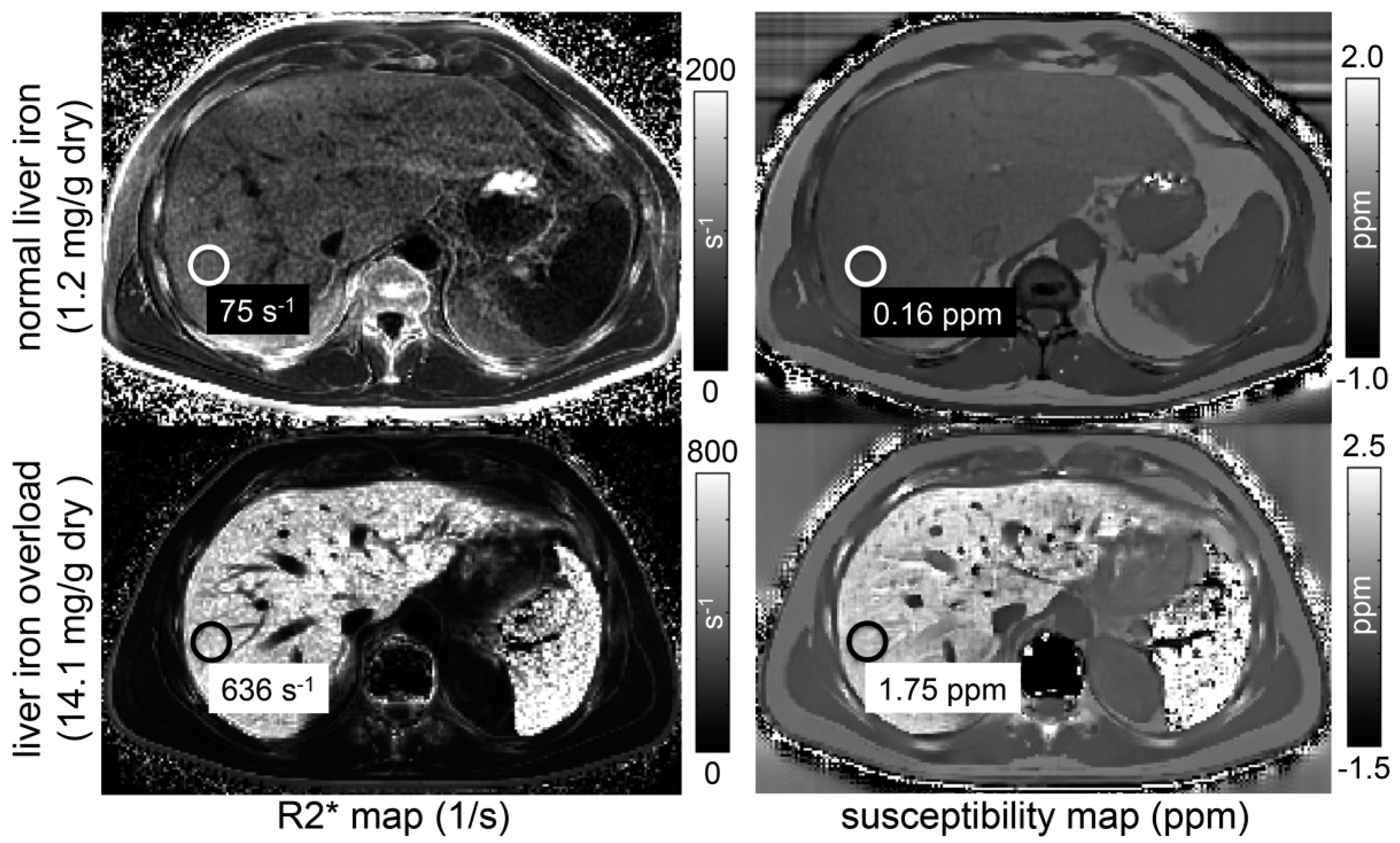 Biomedicines 12 02456 g005