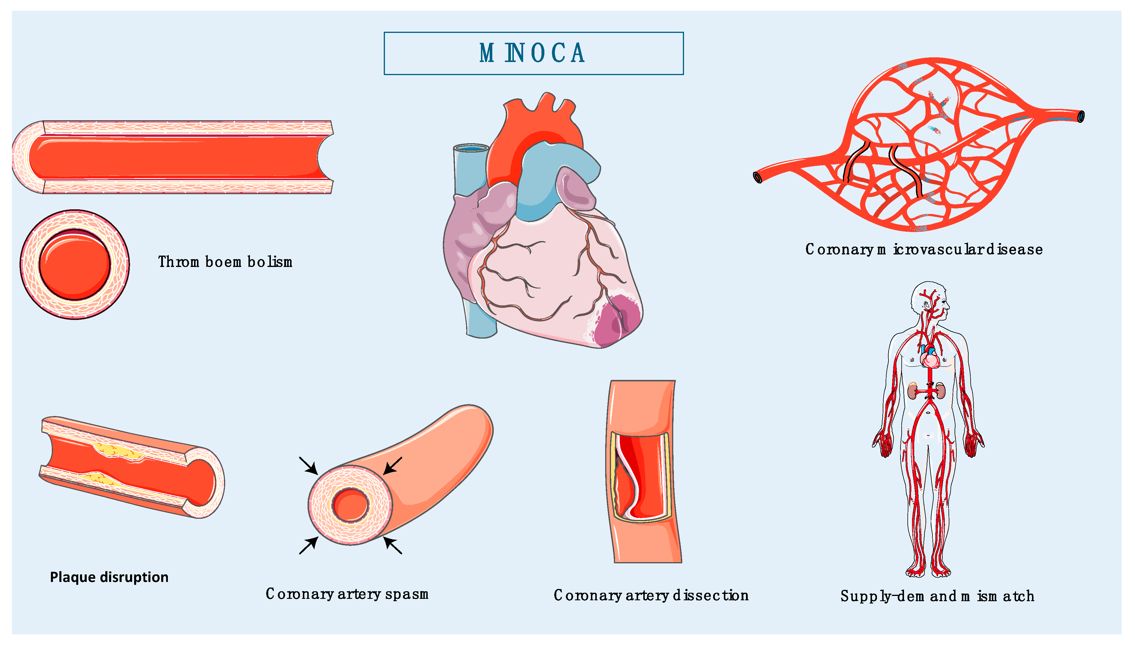 Biomedicines 12 02457 g001
