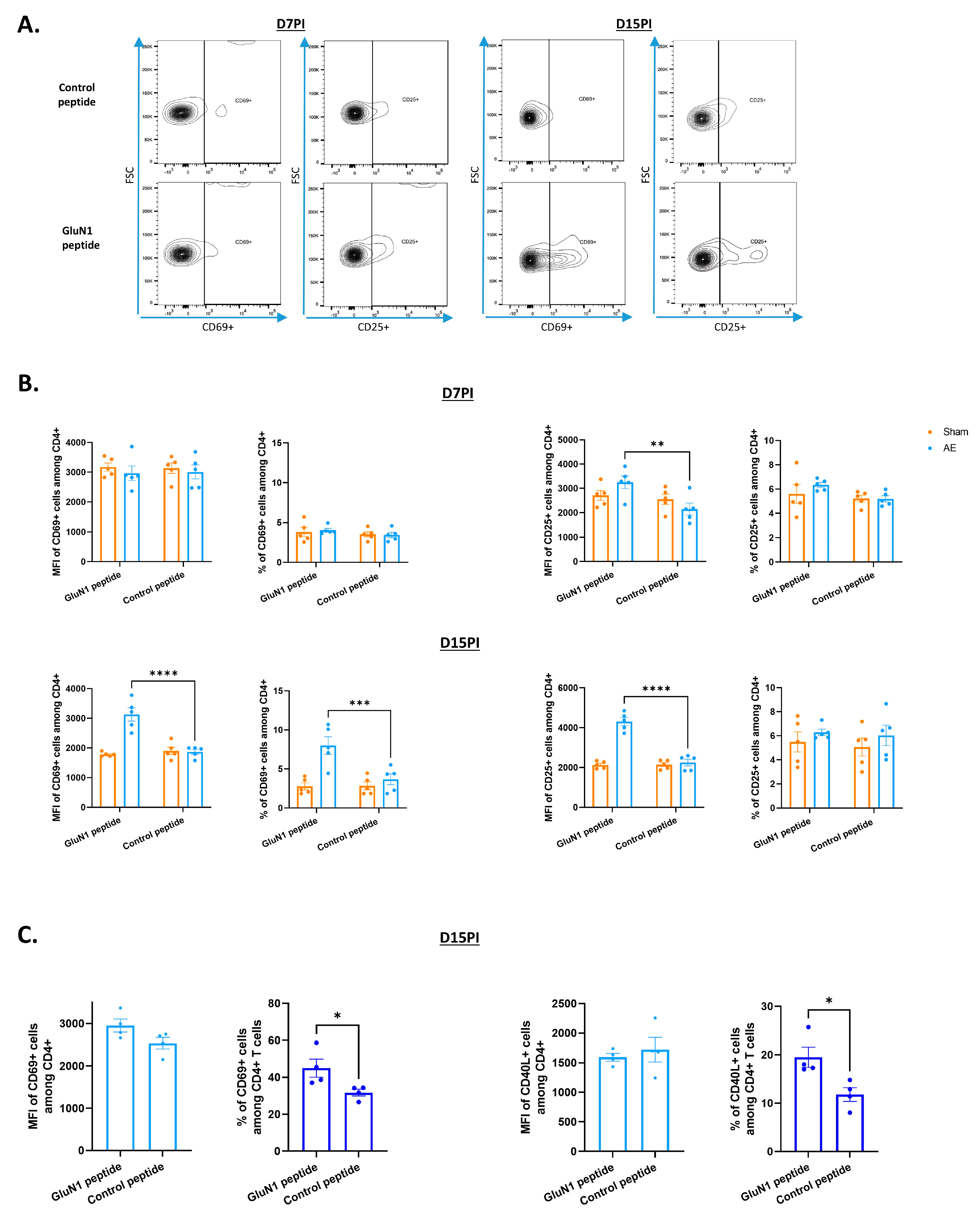 Biomedicines 12 02458 g003