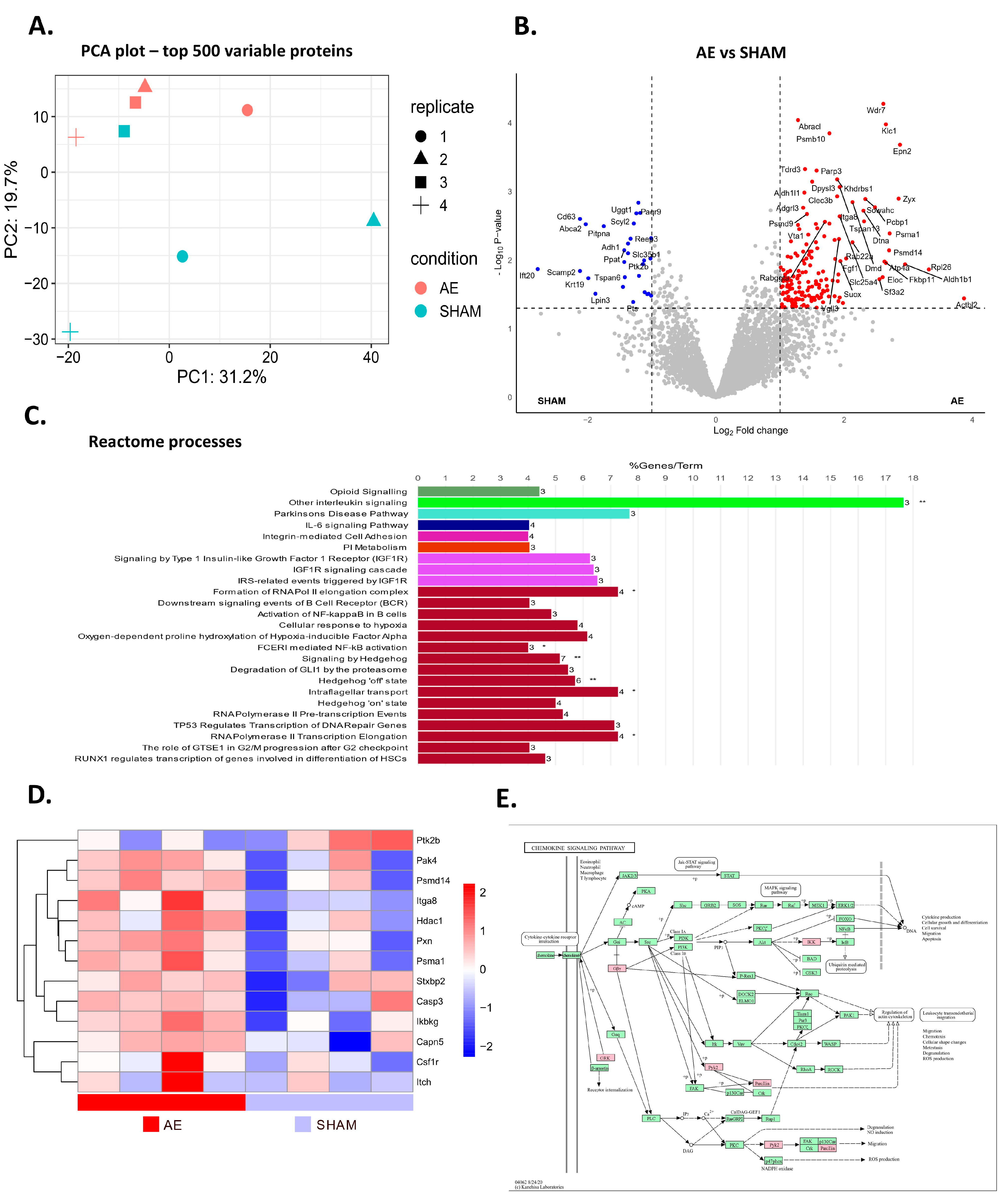 Biomedicines 12 02458 g005