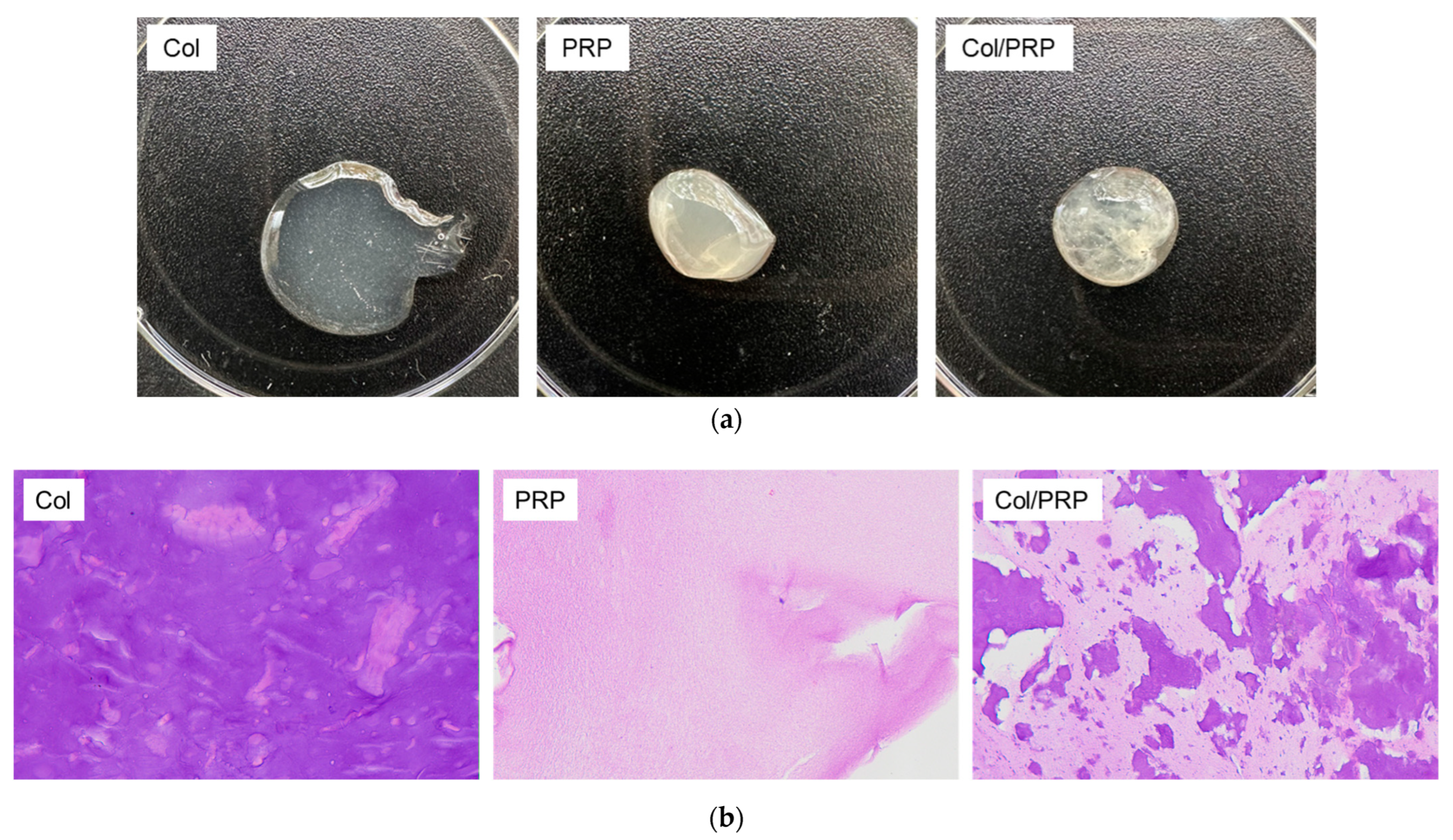 Biomedicines 12 02461 g001