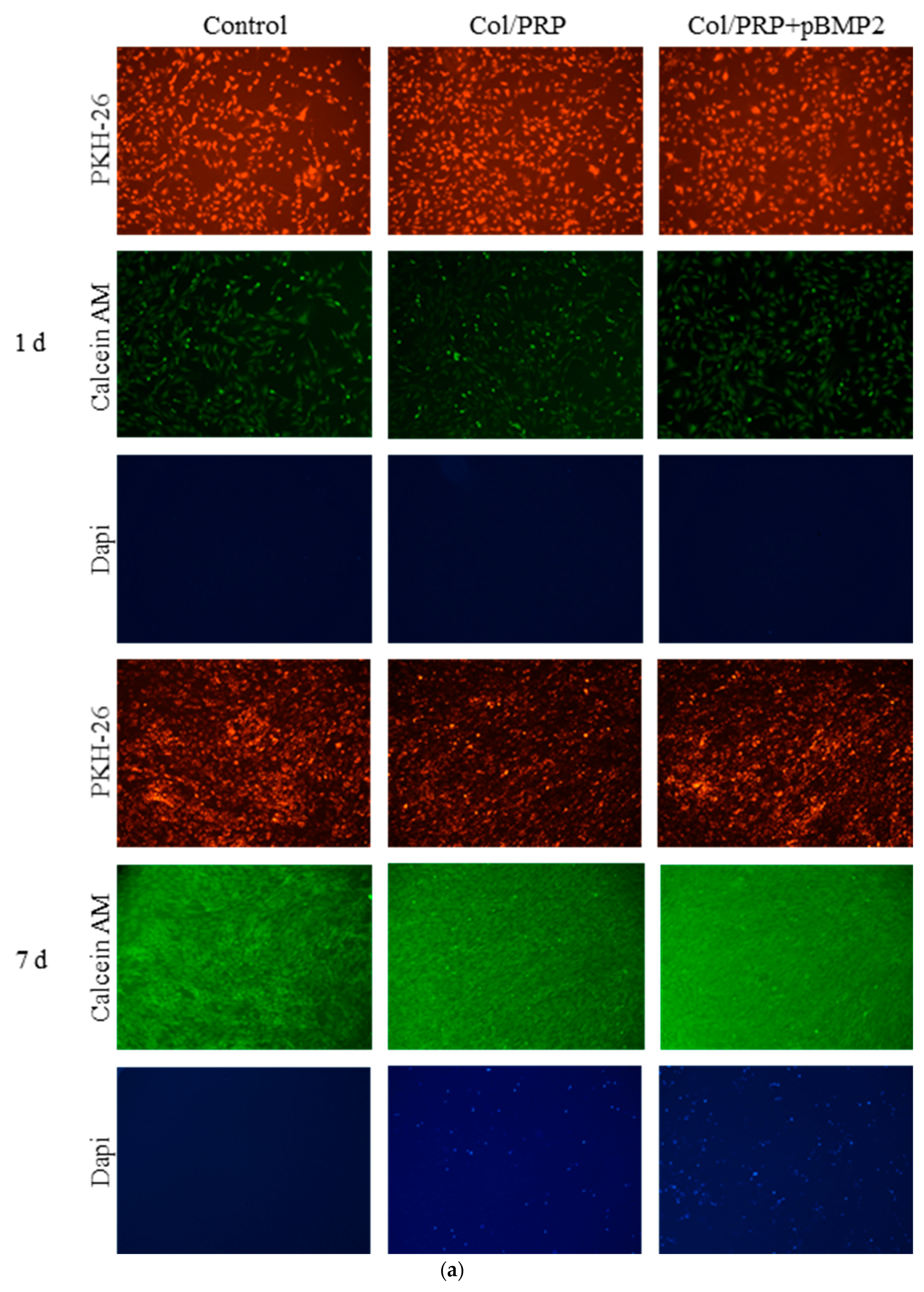 Biomedicines 12 02461 g002a